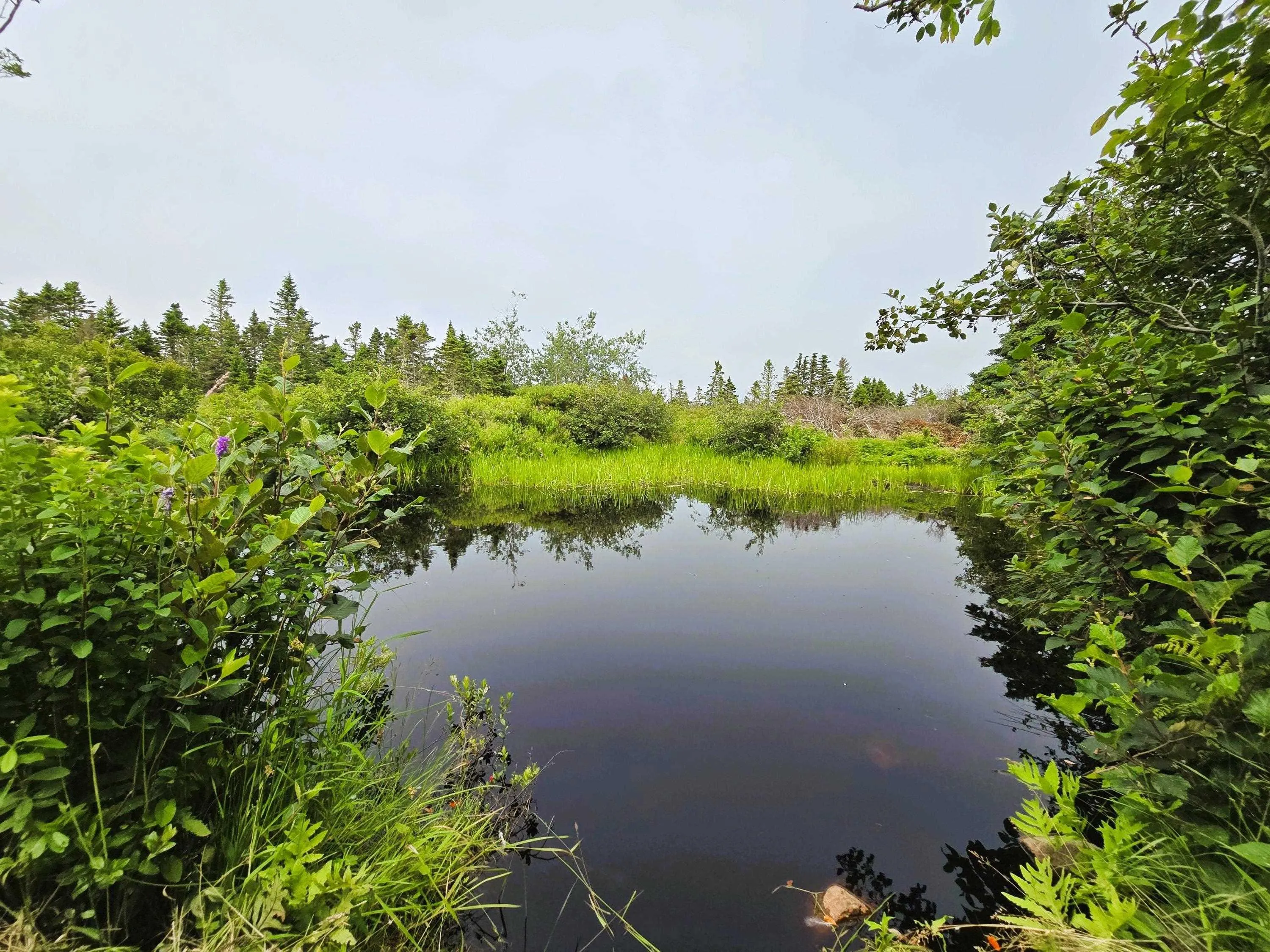 248 Chebogue Point Road, Chebogue Point, NS B5A 5E0, 4 Bedrooms Bedrooms, ,1 BathroomBathrooms,Residential,For Sale,Chebogue Point,202517982