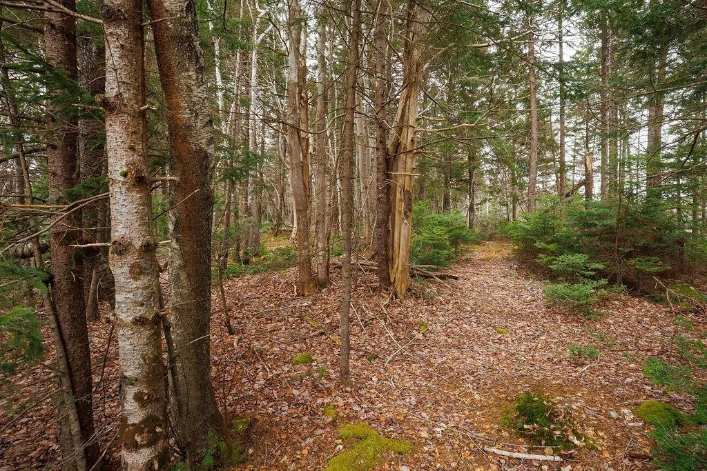 187 Bloomfield Road, Barton Ns B0w 1h0, 2 Bedrooms Bedrooms, ,1 BathroomBathrooms,Residential,For Sale,Bloomfield,202508000