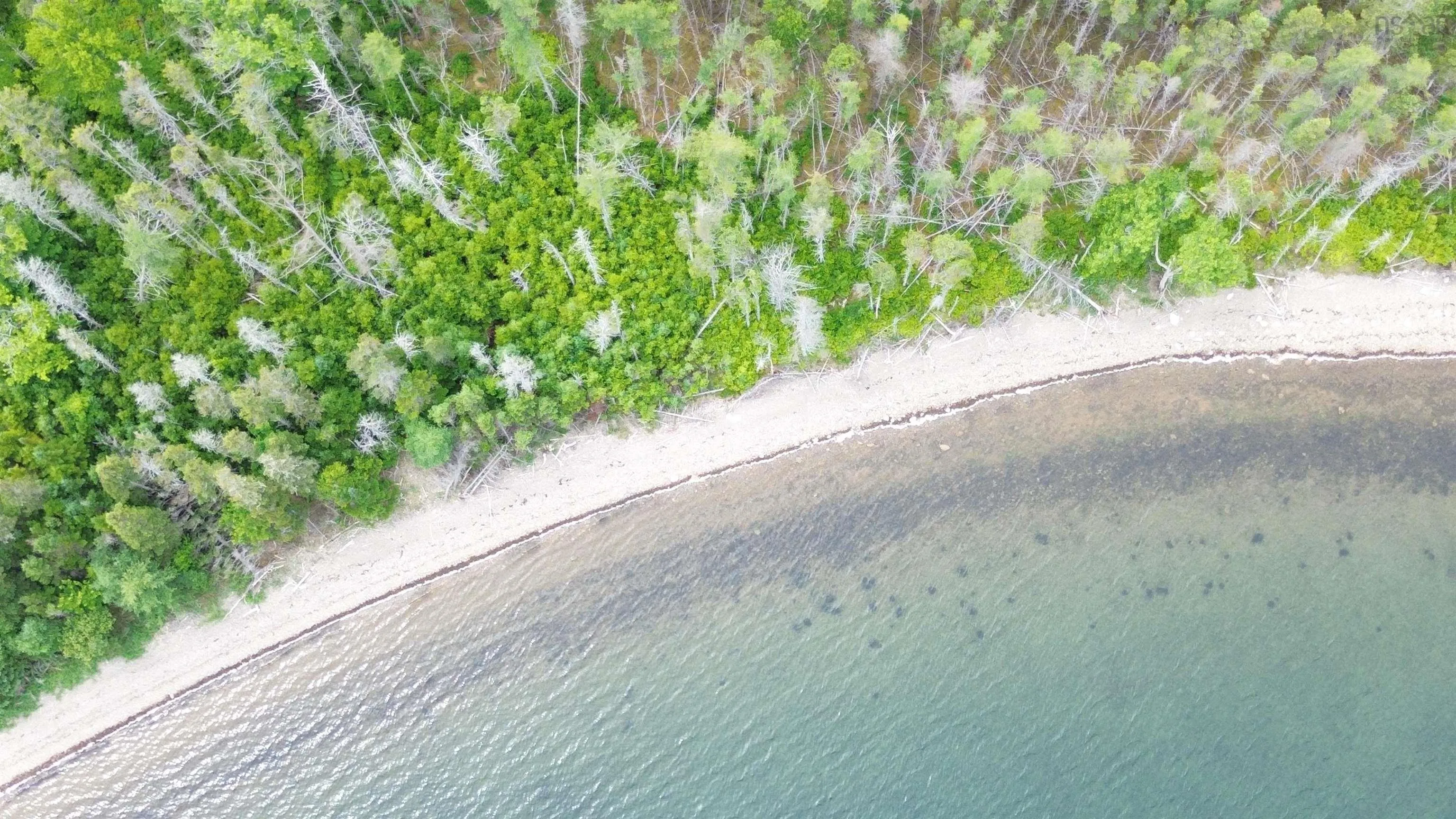 Maple Drive Lot 43, Cape George Estates, NS B0E 3B0, ,Land,For Sale,Maple,202516804