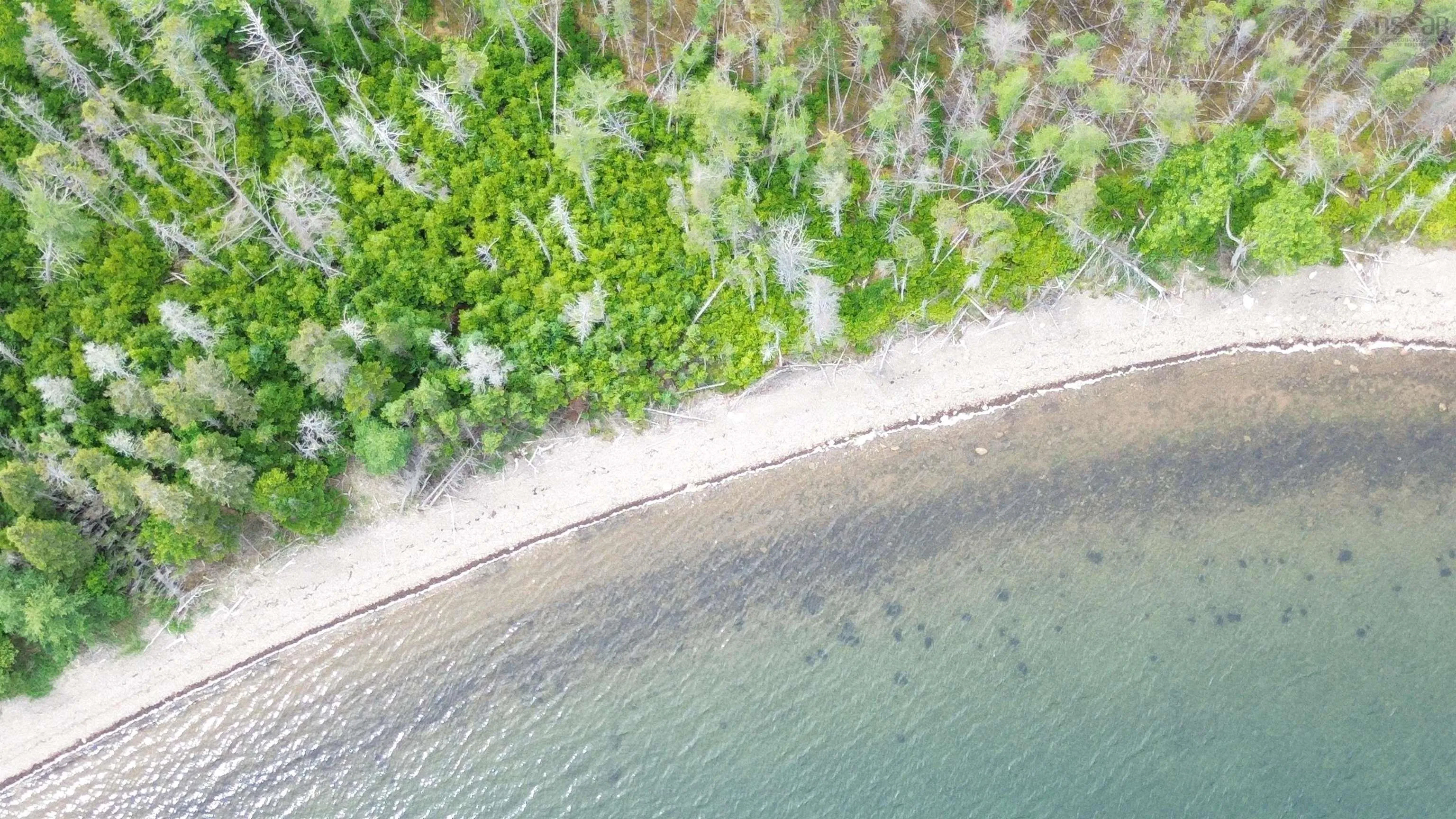 Maple Drive Lot 43, Cape George Estates, NS B0E 3B0, ,Land,For Sale,Maple,202516804