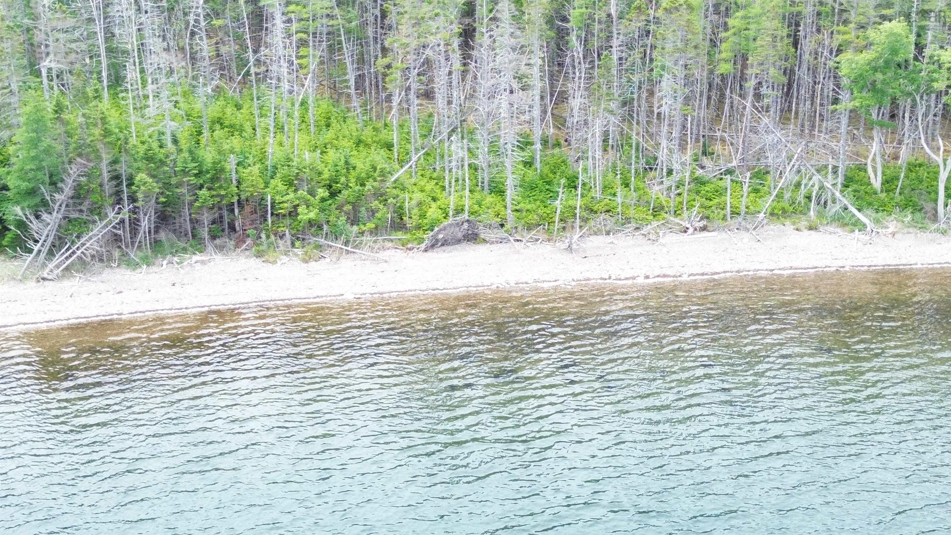 Maple Drive Lot 43, Cape George Estates, NS B0E 3B0, ,Land,For Sale,Maple,202516804