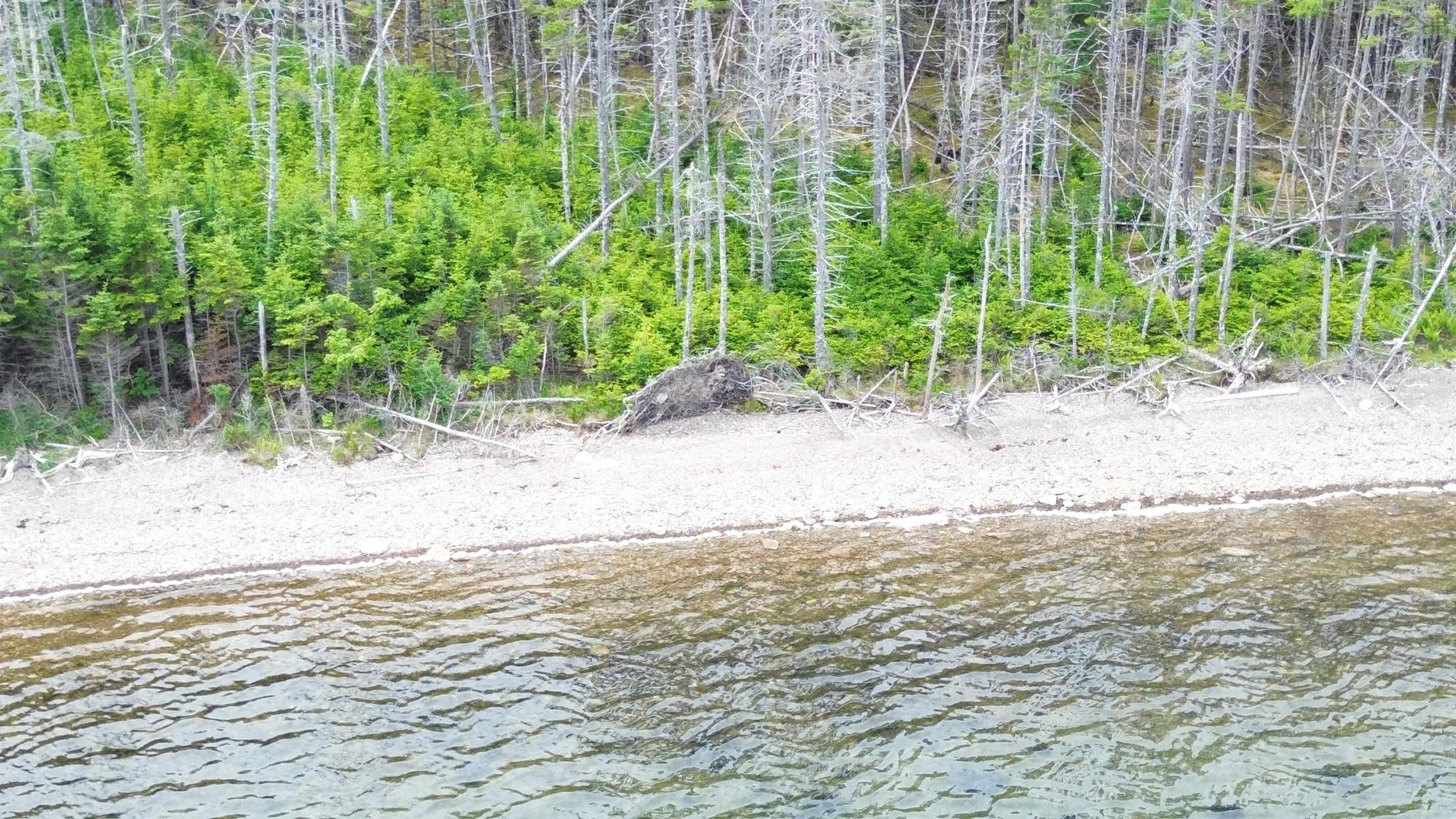 Maple Drive Lot 43, Cape George Estates, NS B0E 3B0, ,Land,For Sale,Maple,202516804