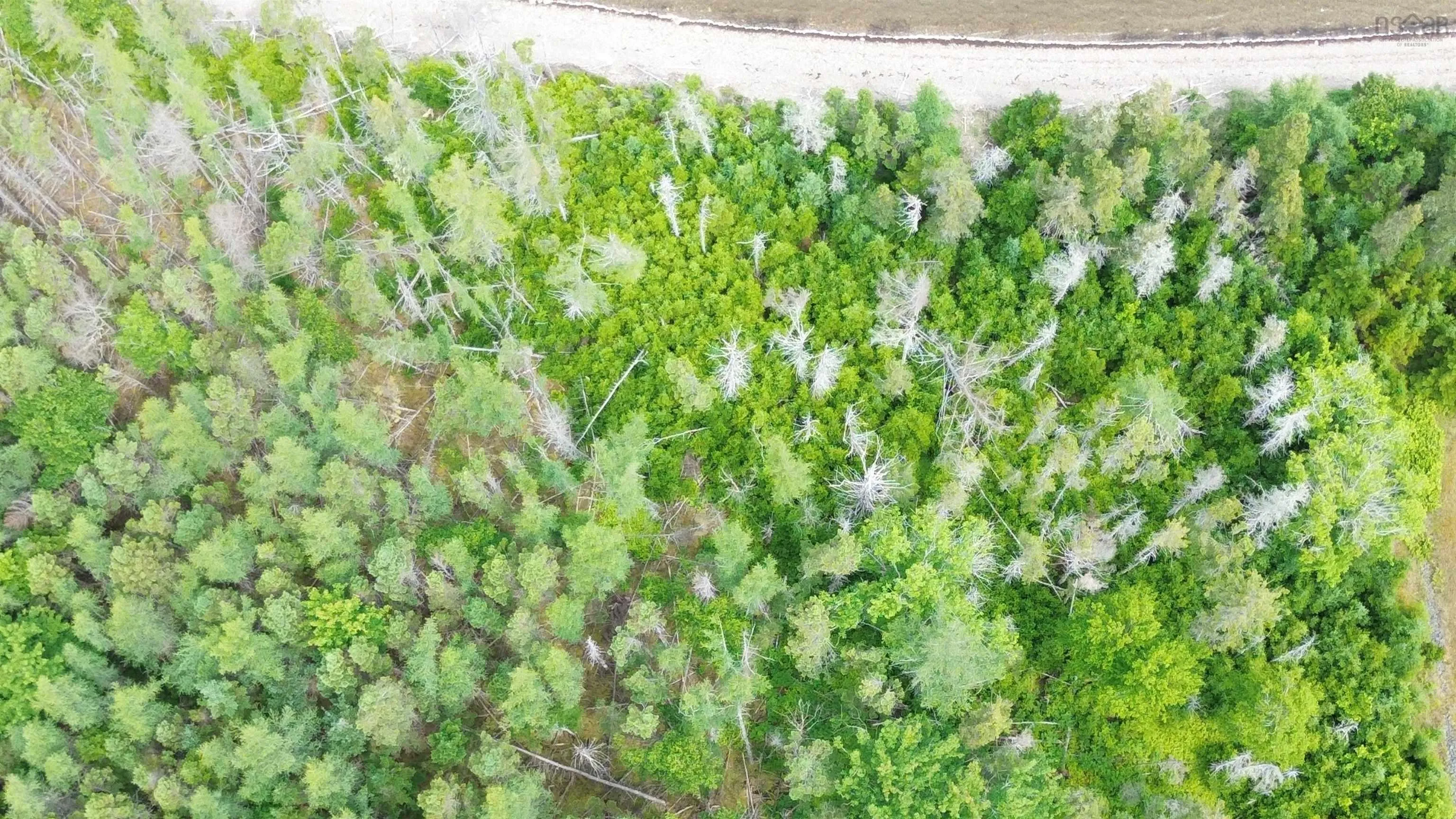 Maple Drive Lot 43, Cape George Estates, NS B0E 3B0, ,Land,For Sale,Maple,202516804