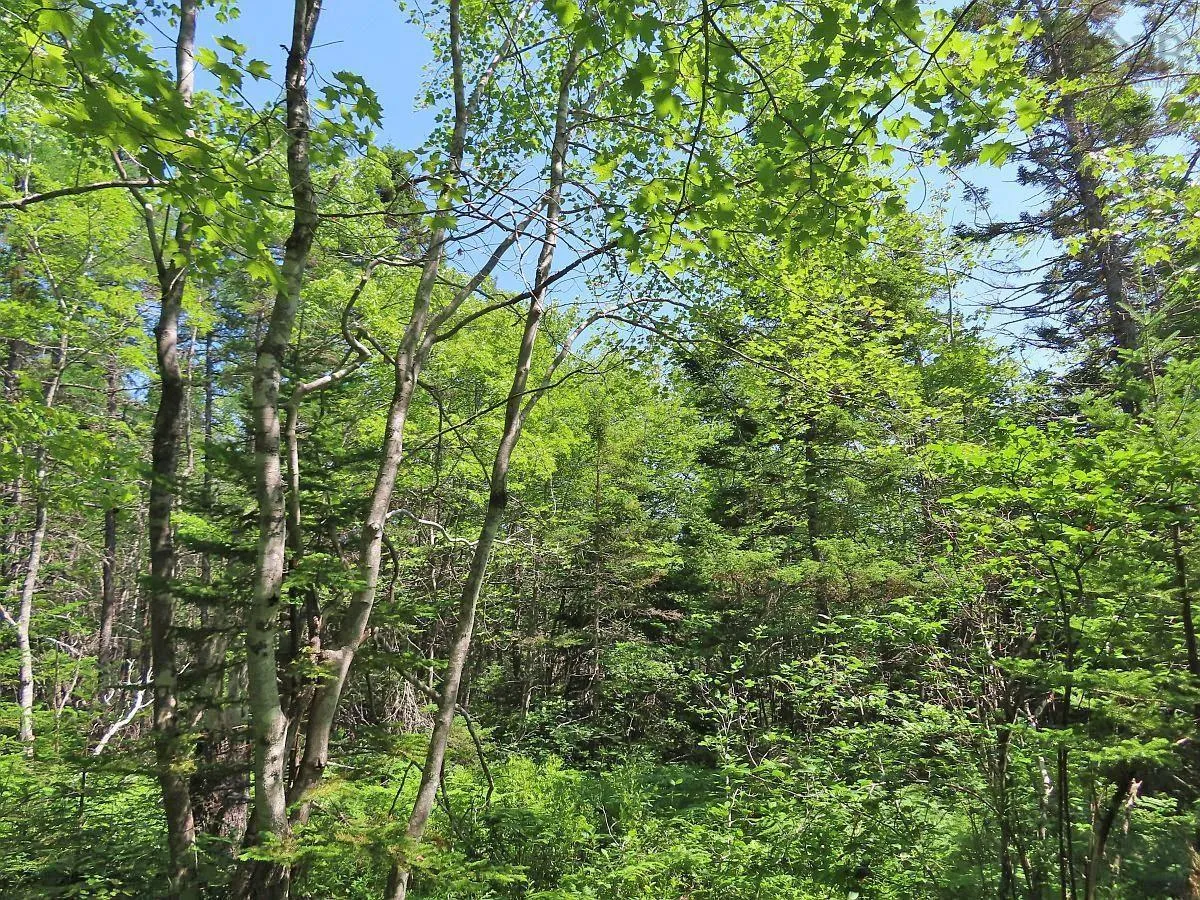 Lot 2 Perry Lane, Lennox Passage Ns B0e 1k0, ,Land,For Sale,Perry,202416052