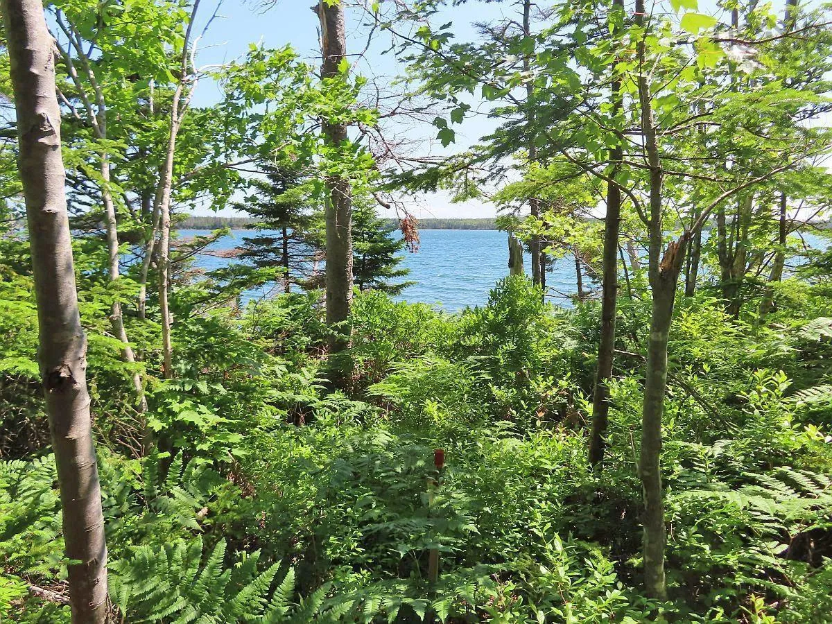 Lot 2 Perry Lane, Lennox Passage Ns B0e 1k0, ,Land,For Sale,Perry,202416052