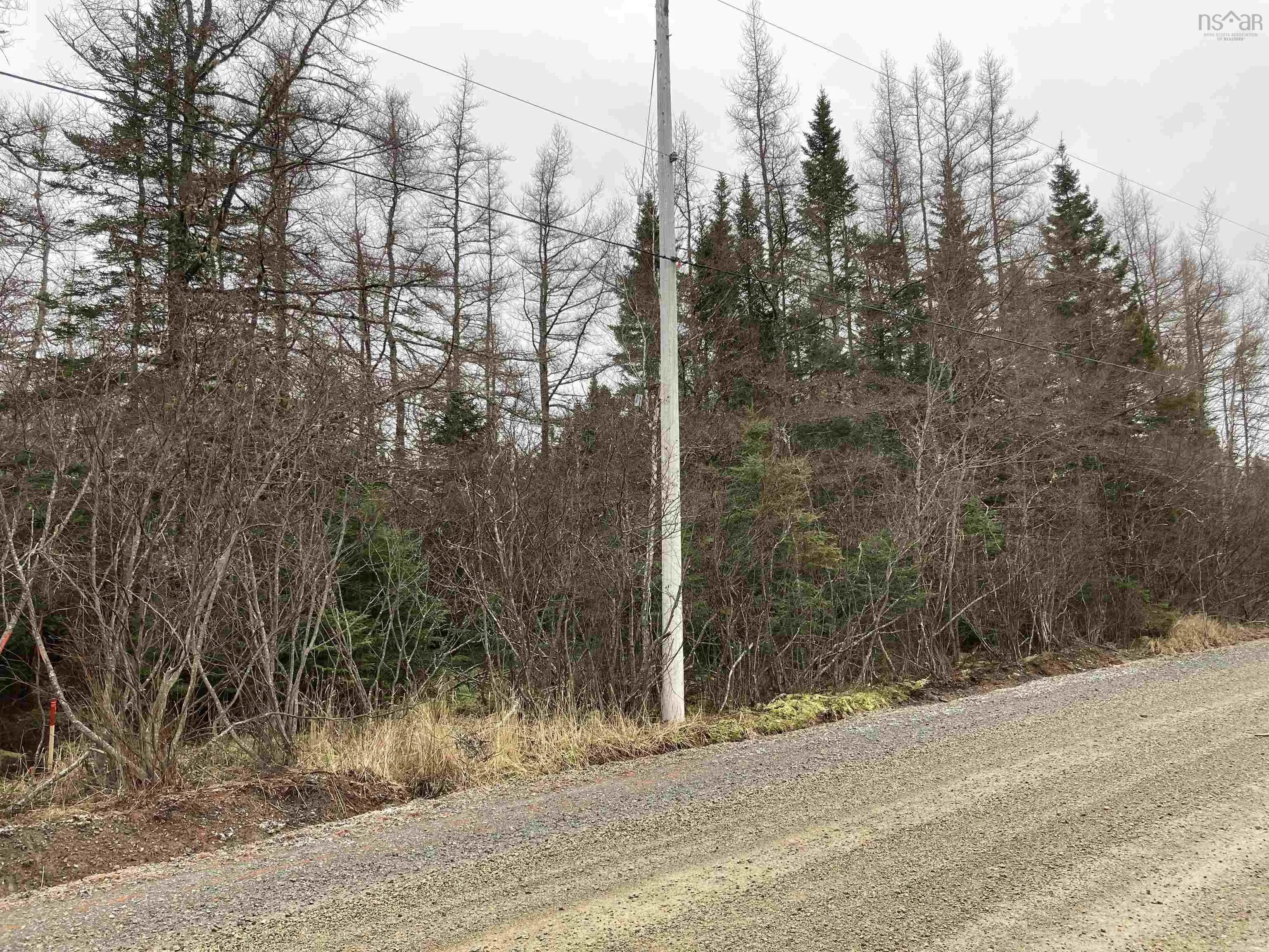 Lot 2022-1 Country Harbour Road, Cross Roads Country Harbour Ns B0h 1j0, ,Land,For Sale,Country Harbour Road,202419608