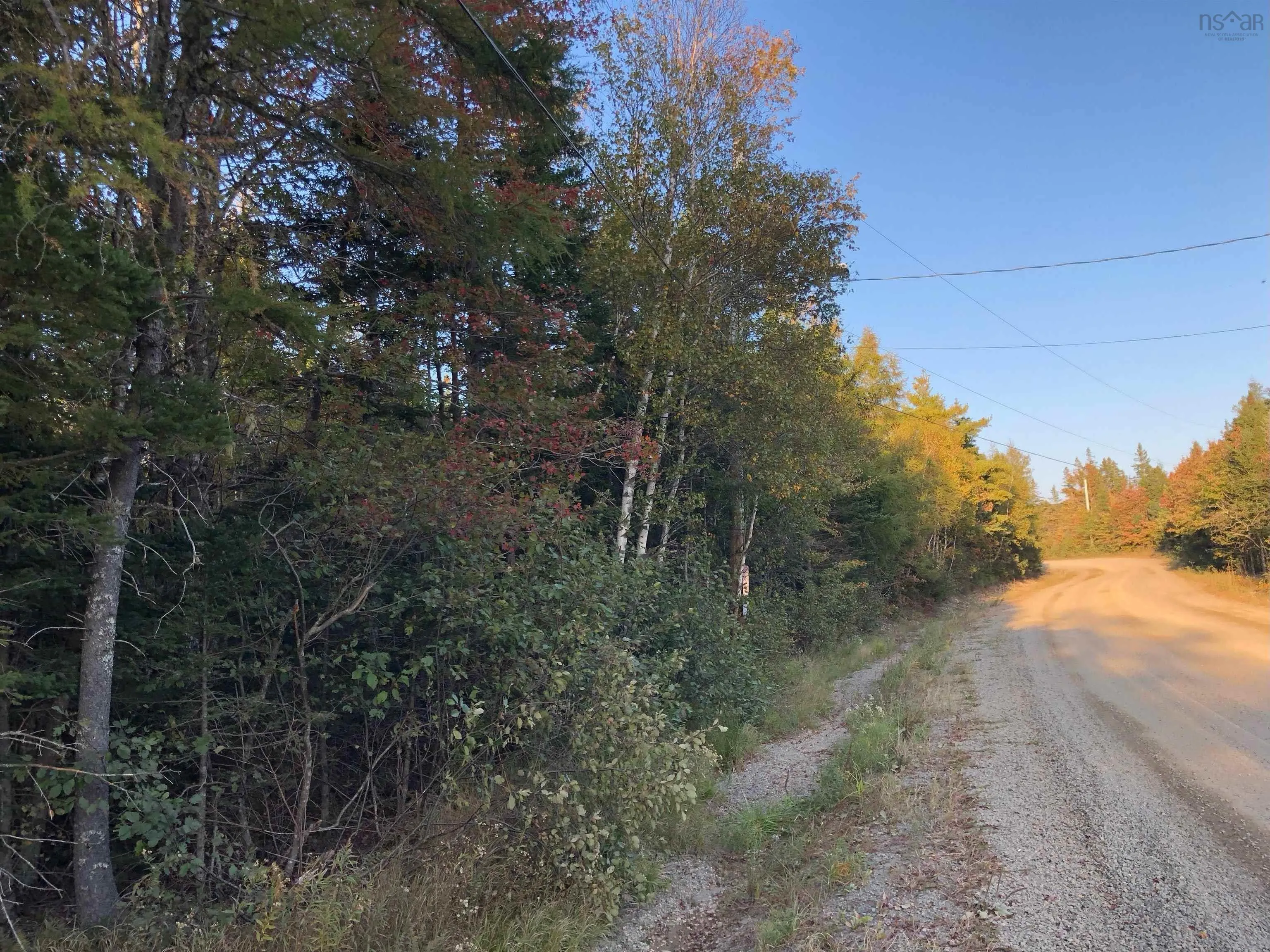 Lot 2022-1 Country Harbour Road, Cross Roads Country Harbour Ns B0h 1j0, ,Land,For Sale,Country Harbour Road,202419608