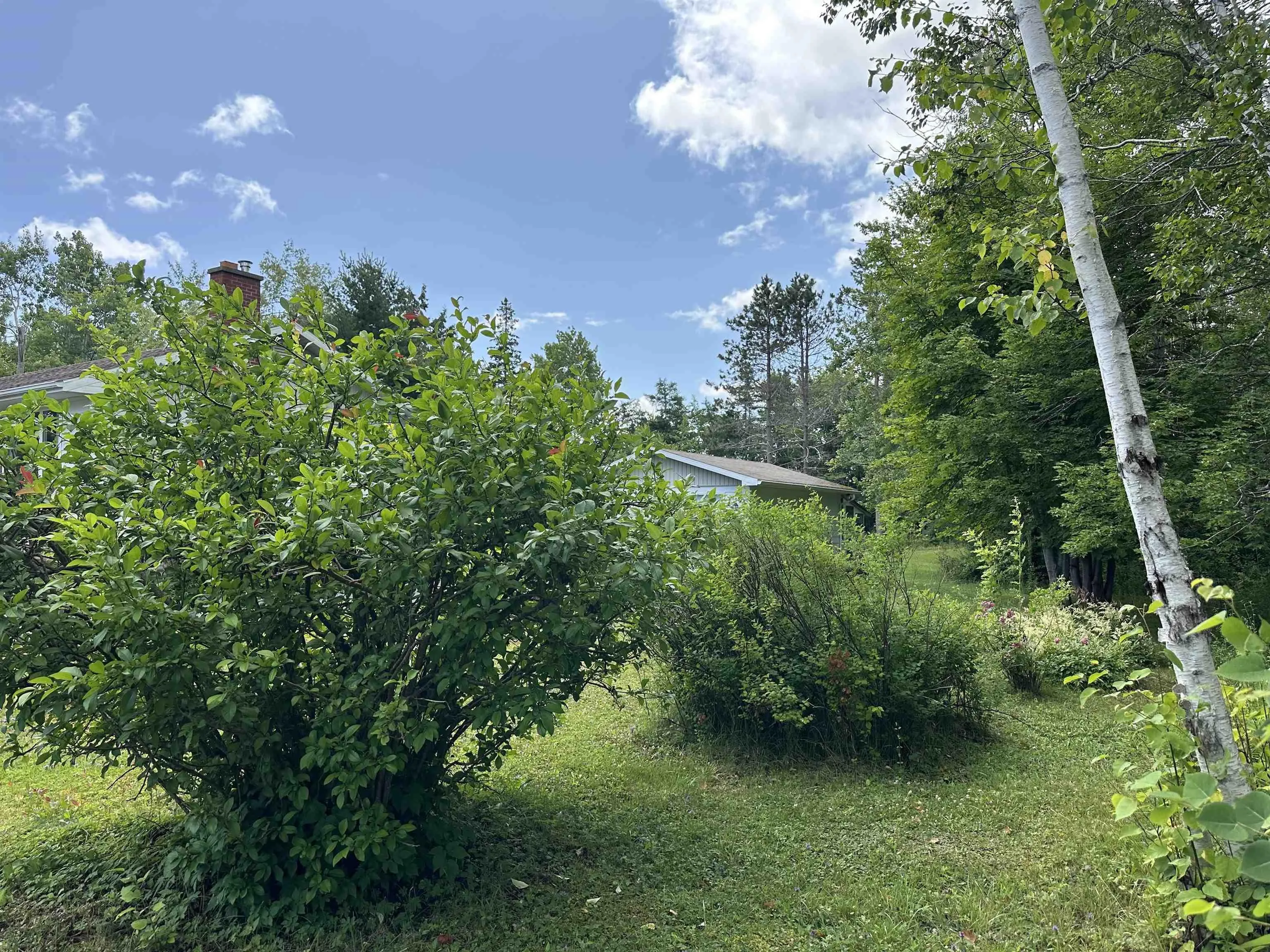 1167 Keltic Drive, North West Arm, NS B2A 4W4, 3 Bedrooms Bedrooms, ,2 BathroomsBathrooms,Residential,For Sale,Keltic,202518520