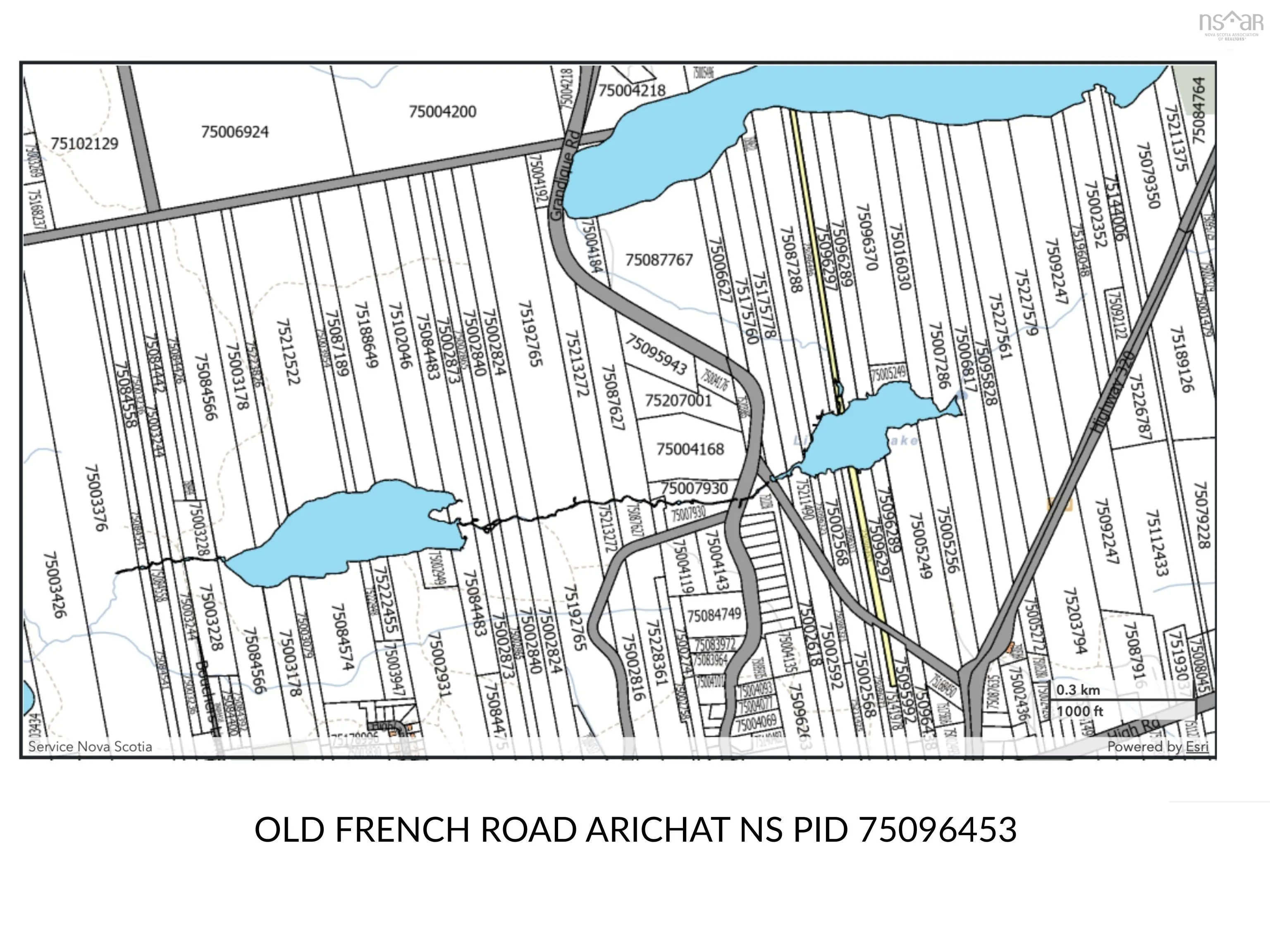 Old French Road, Arichat, NS B0E 1A0, ,Land,For Sale,Old French,202518648