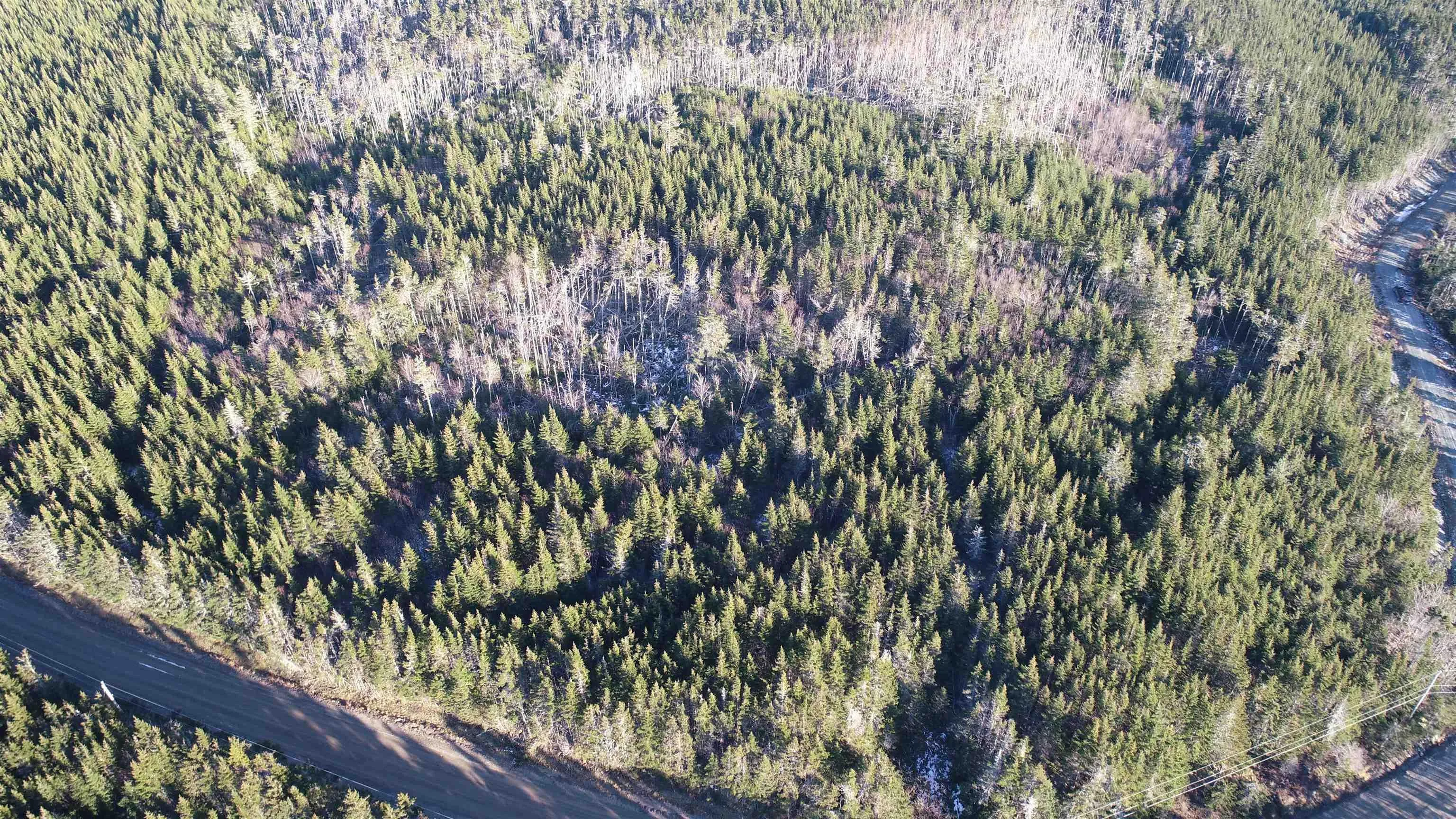 Lot 6 Pyes Head Road, Liscomb Ns B0j 2a0, ,Land,For Sale,Pyes Head,202403236