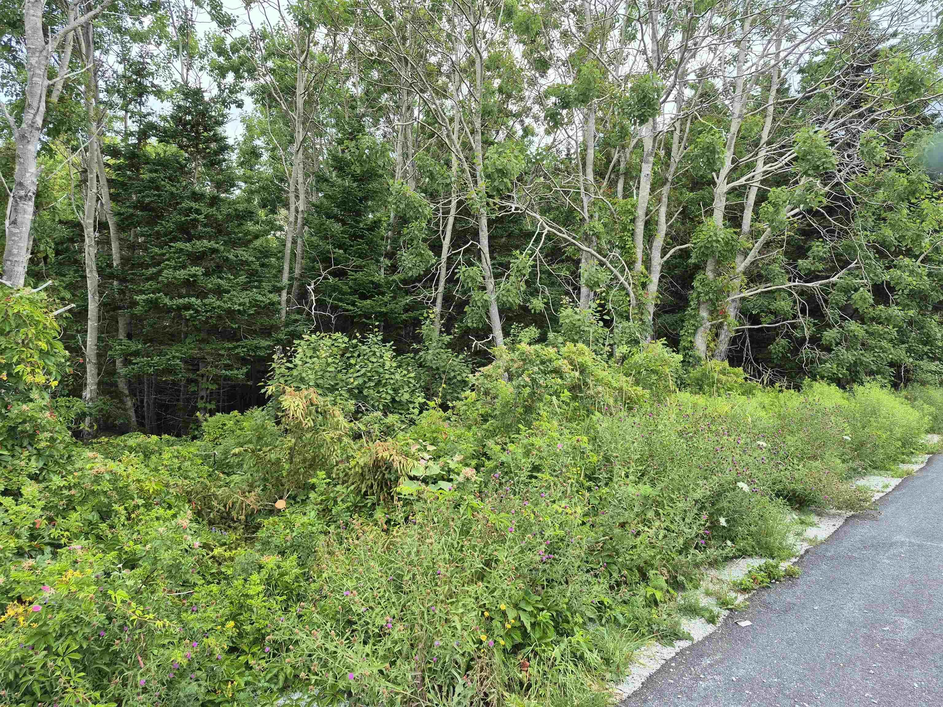 36 Goose View Drive, East Port Lhebert, NS B0T 1S0, 2 Bedrooms Bedrooms, ,1 BathroomBathrooms,Residential,For Sale,Goose View,202519667