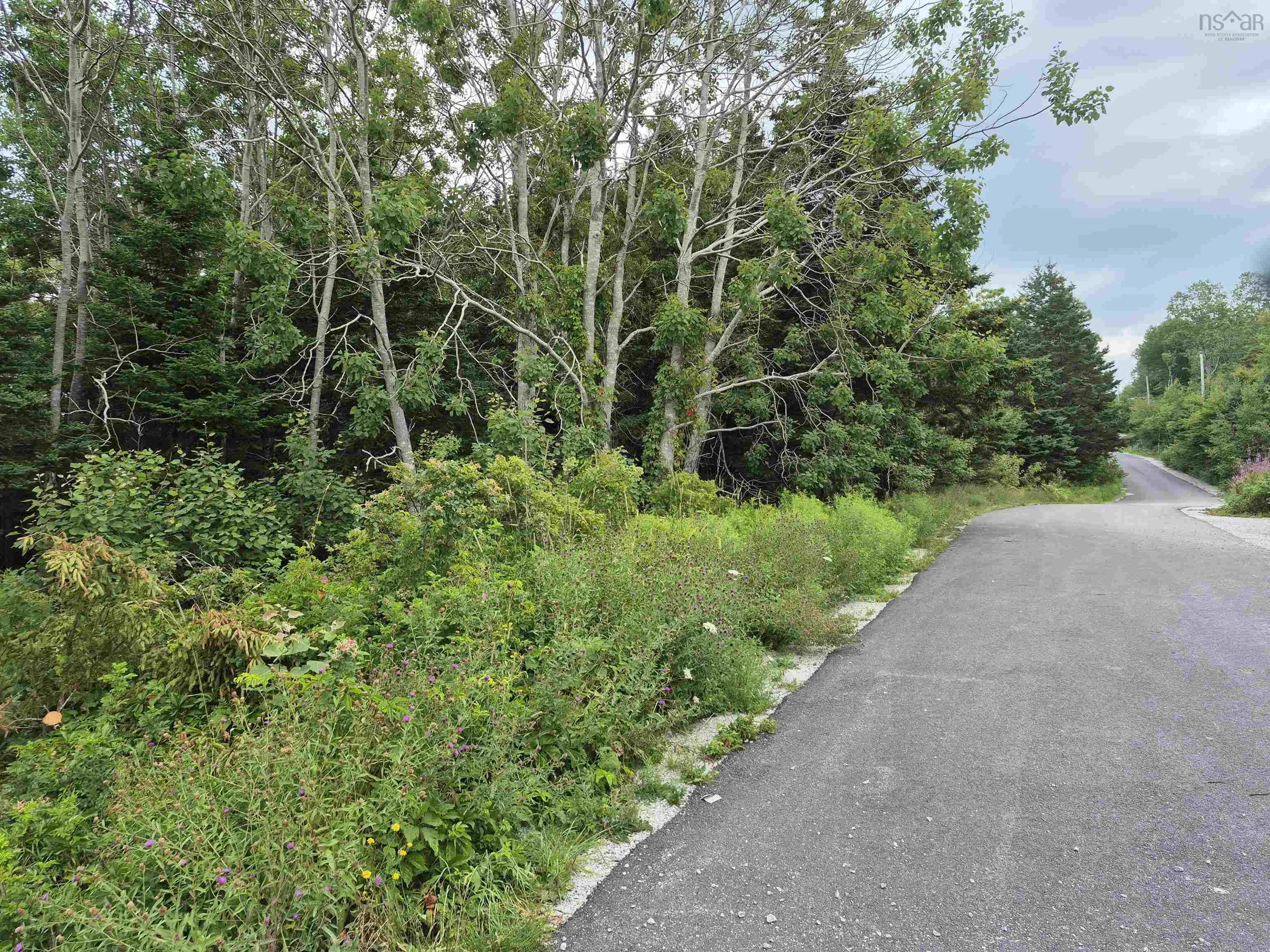 36 Goose View Drive, East Port Lhebert, NS B0T 1S0, 2 Bedrooms Bedrooms, ,1 BathroomBathrooms,Residential,For Sale,Goose View,202519667