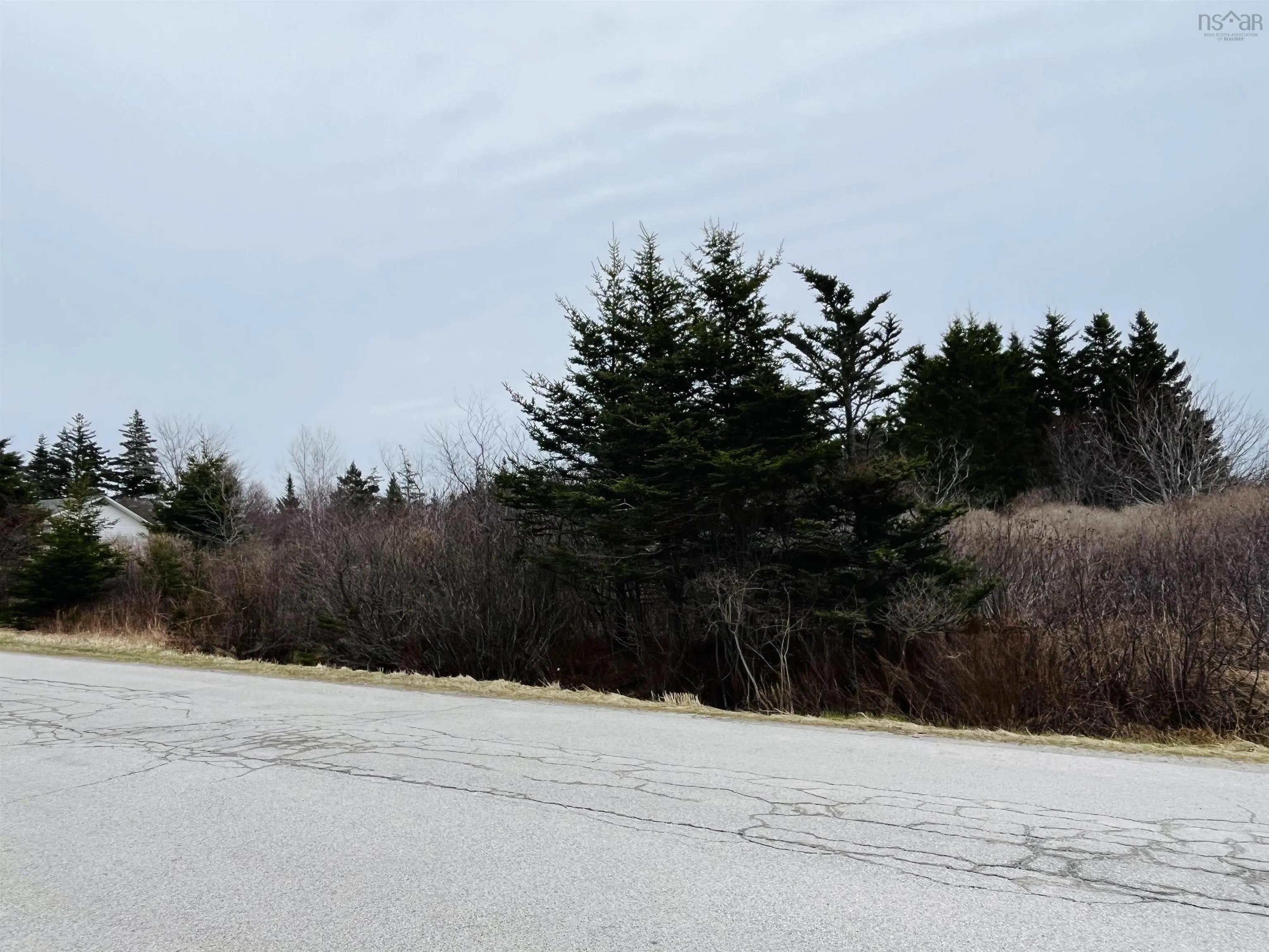Sandy Point Road, Sandy Point Ns B0t 1w0, ,Land,For Sale,Sandy Point,202507276
