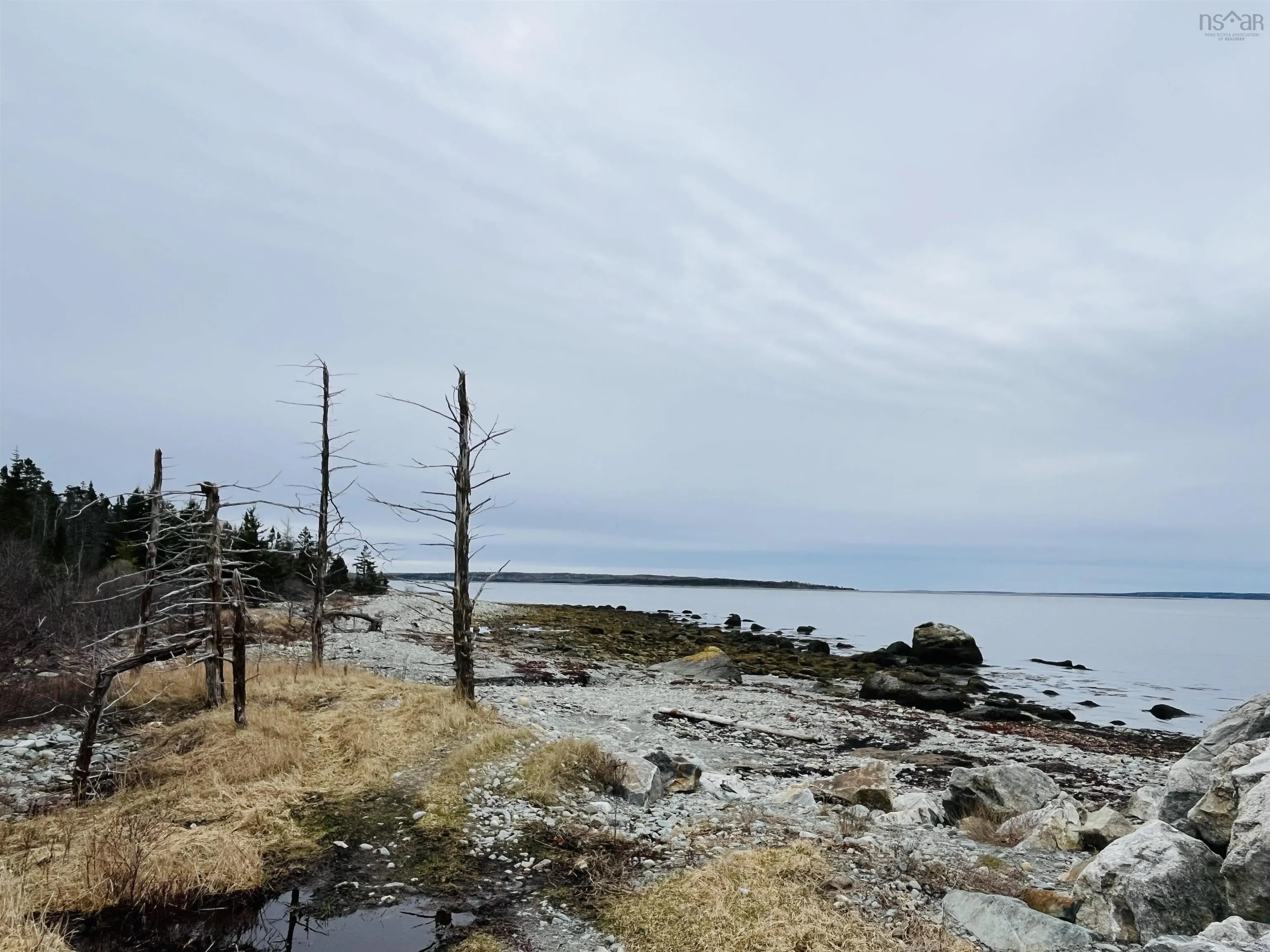 Sandy Point Road, Sandy Point Ns B0t 1w0, ,Land,For Sale,Sandy Point,202507276
