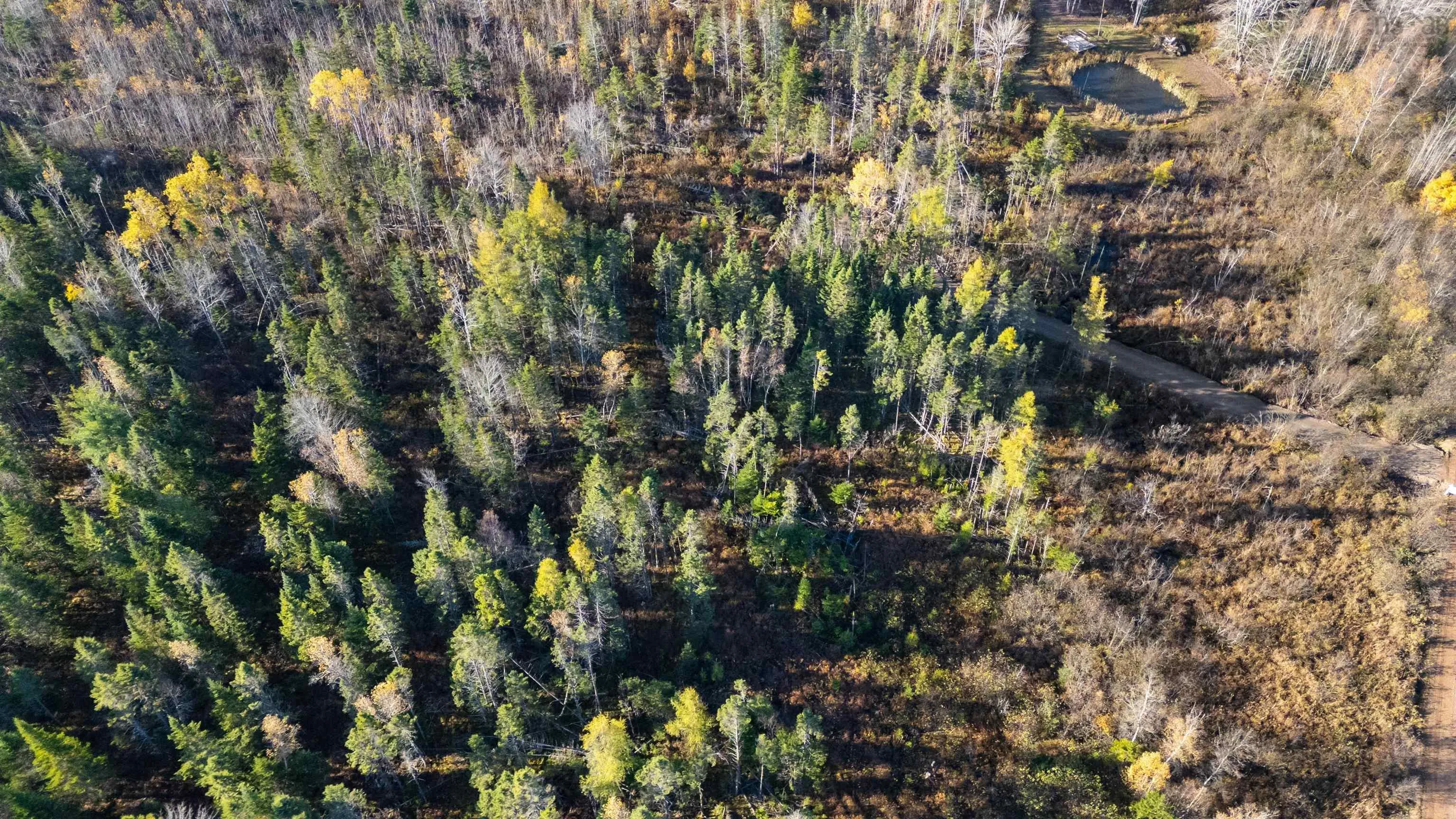 Lot H-2 Cloverdale Road, East Stewiacke Ns B0n 2j0, ,Land,For Sale,Cloverdale,202425308