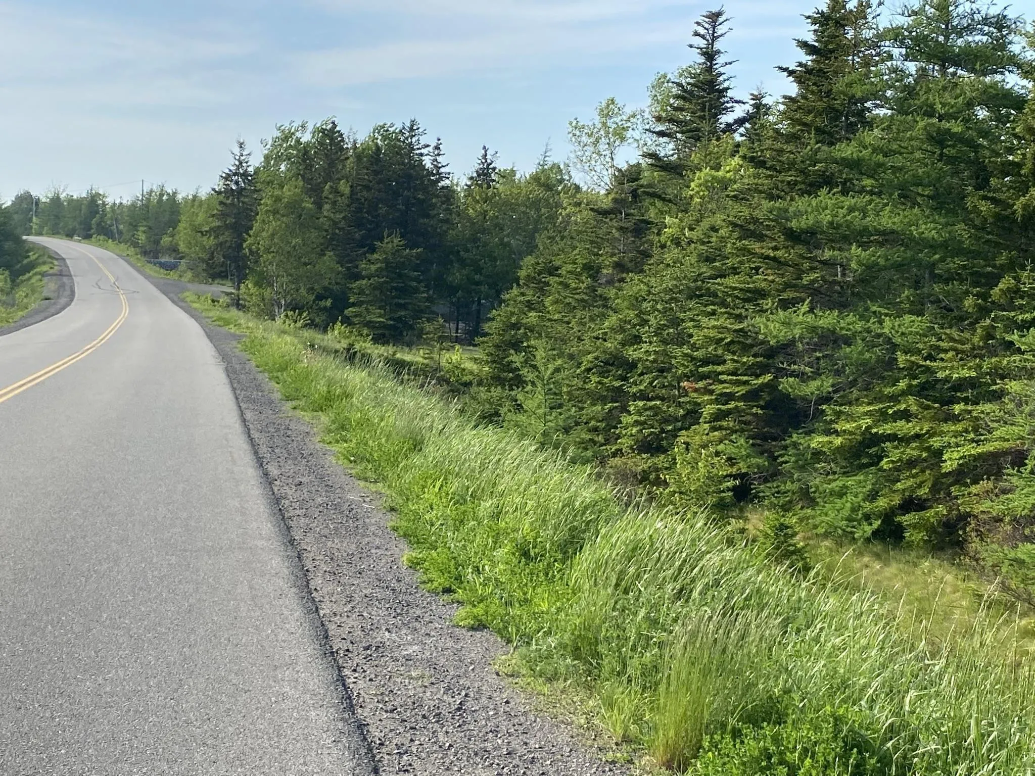 Little Mabou Road, West Mabou, NS B0E 1X0, ,Land,For Sale,Little Mabou,202520684