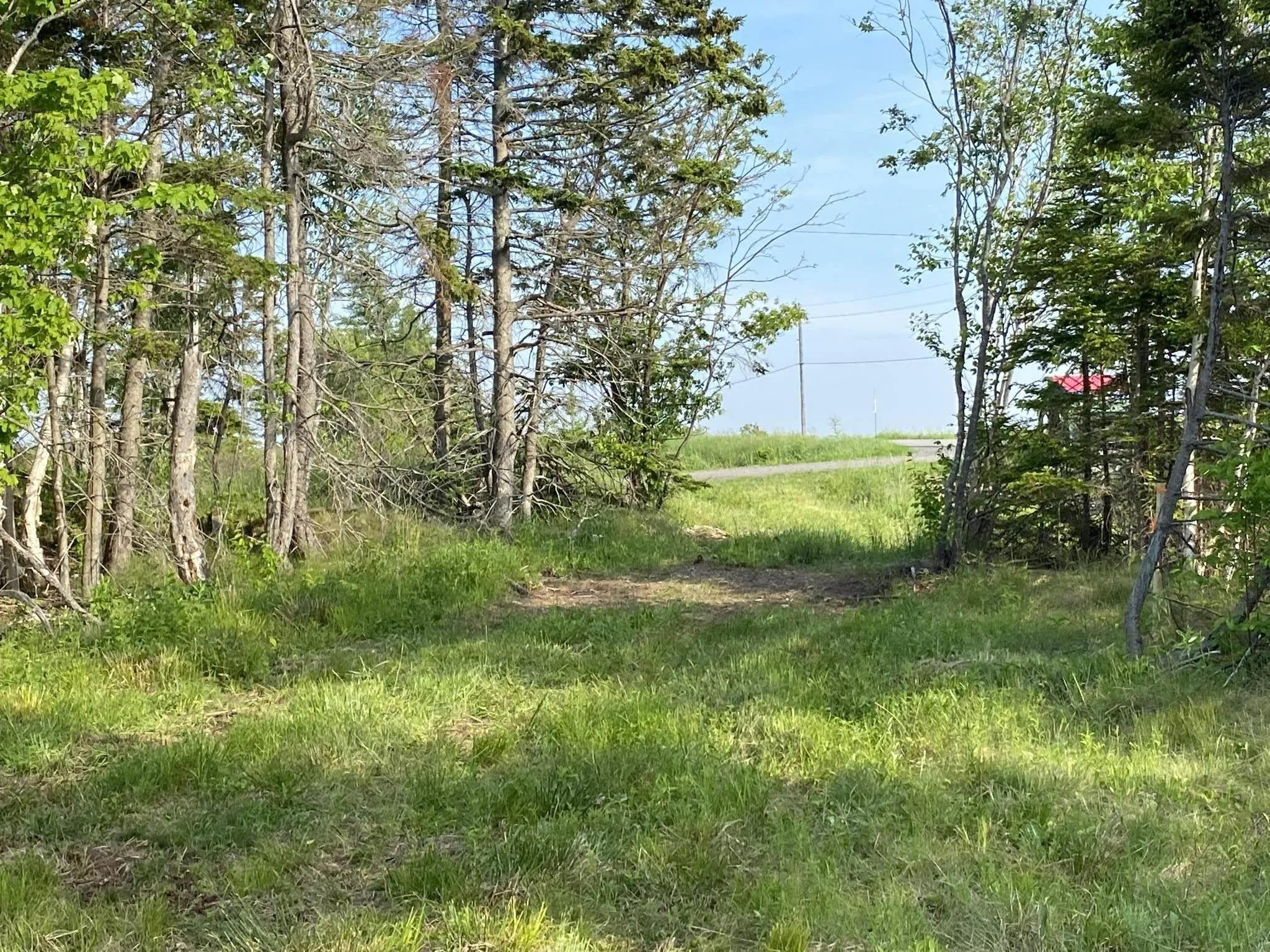 Little Mabou Road, West Mabou, NS B0E 1X0, ,Land,For Sale,Little Mabou,202520684