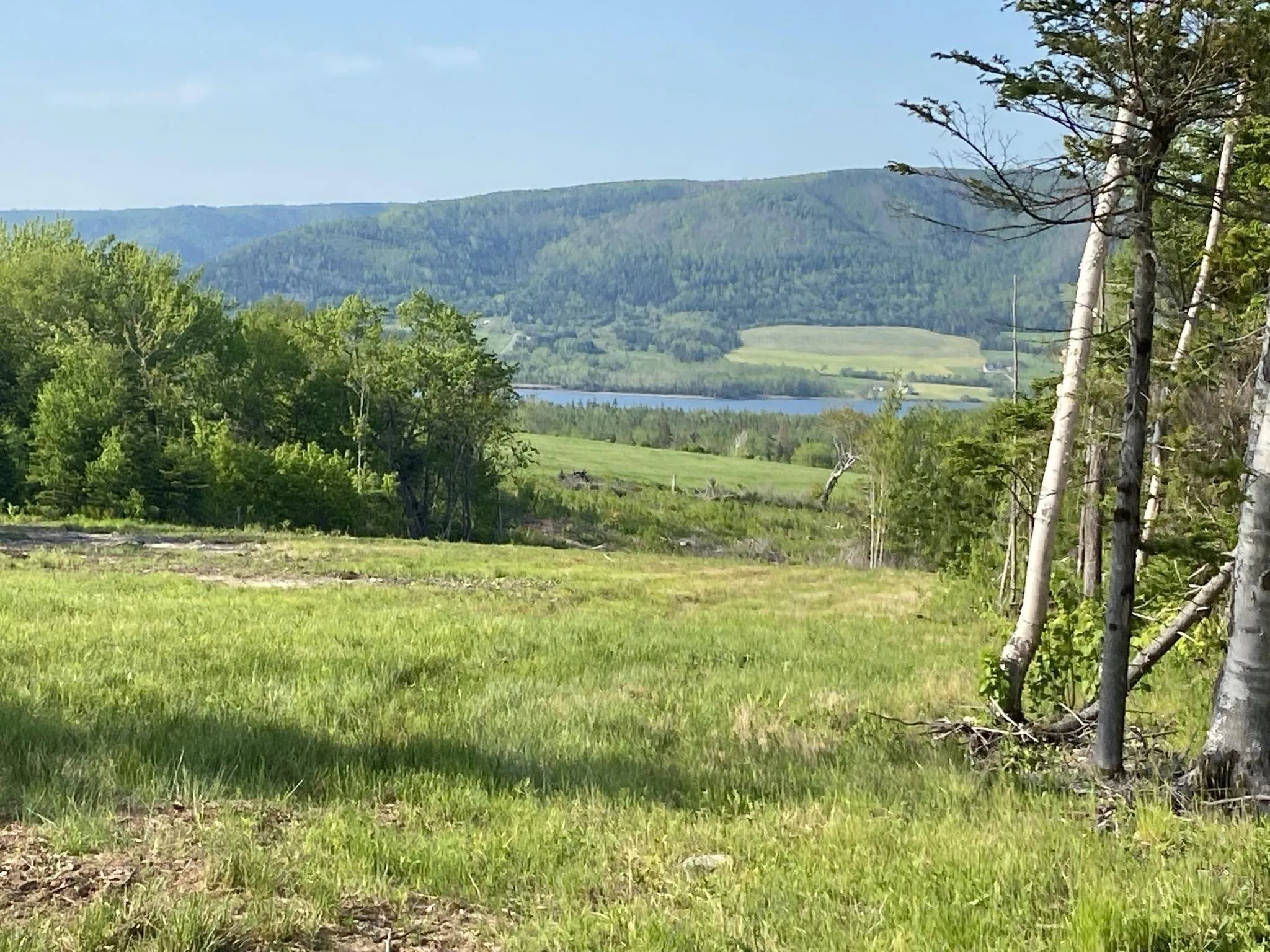 Little Mabou Road, West Mabou, NS B0E 1X0, ,Land,For Sale,Little Mabou,202520684