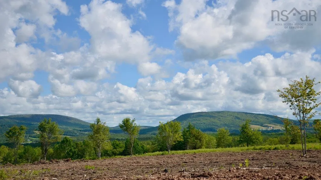 Little Mabou Road, West Mabou, NS B0E 1X0, ,Land,For Sale,Little Mabou,202520684