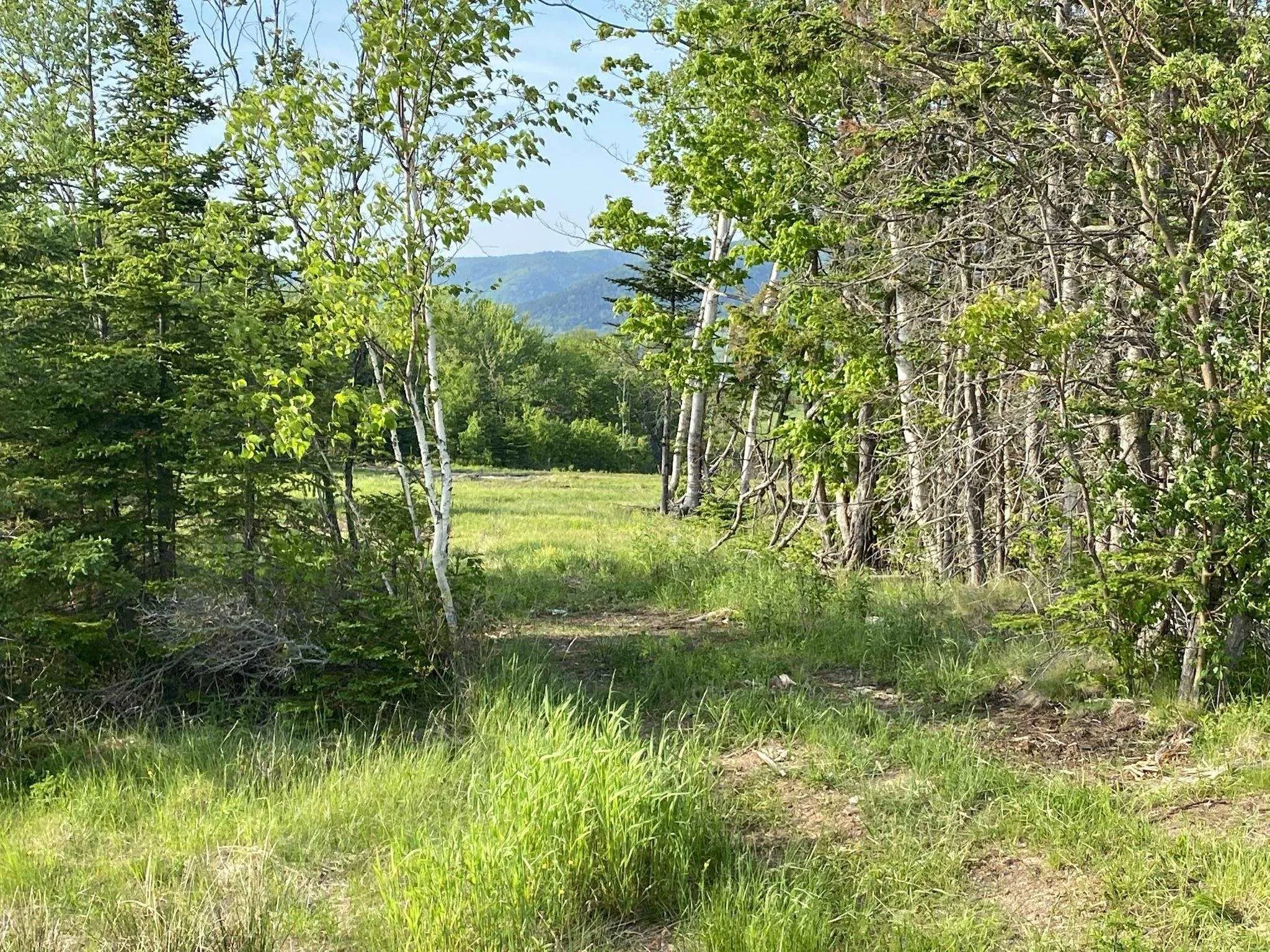 Little Mabou Road, West Mabou, NS B0E 1X0, ,Land,For Sale,Little Mabou,202520684