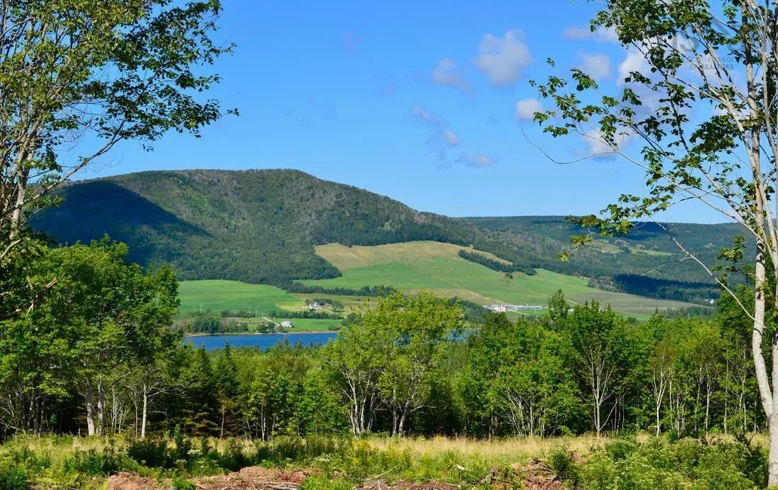 Little Mabou Road, West Mabou, NS B0E 1X0, ,Land,For Sale,Little Mabou,202520684