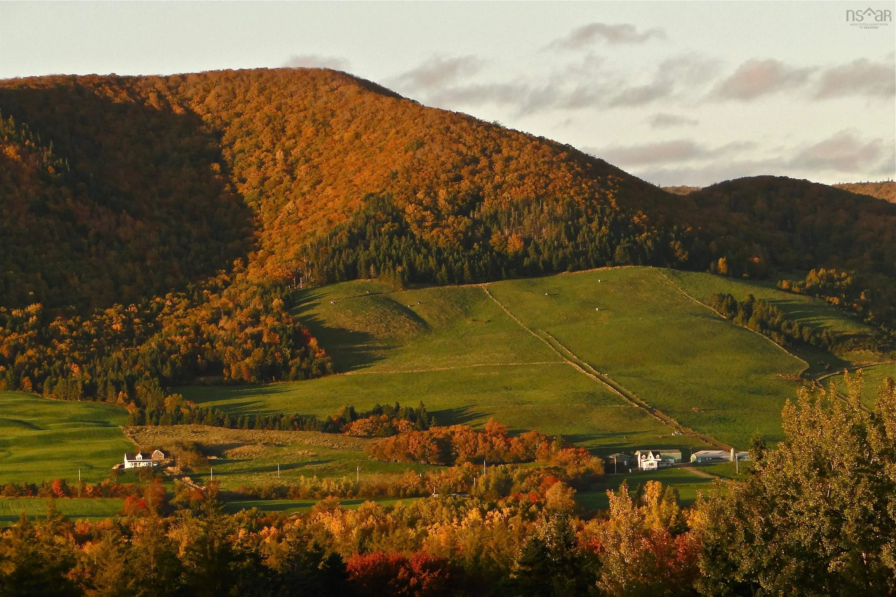 Little Mabou Road, West Mabou, NS B0E 1X0, ,Land,For Sale,Little Mabou,202520684