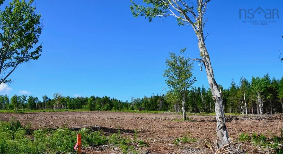 Little Mabou Road, West Mabou, NS B0E 1X0, ,Land,For Sale,Little Mabou,202520684