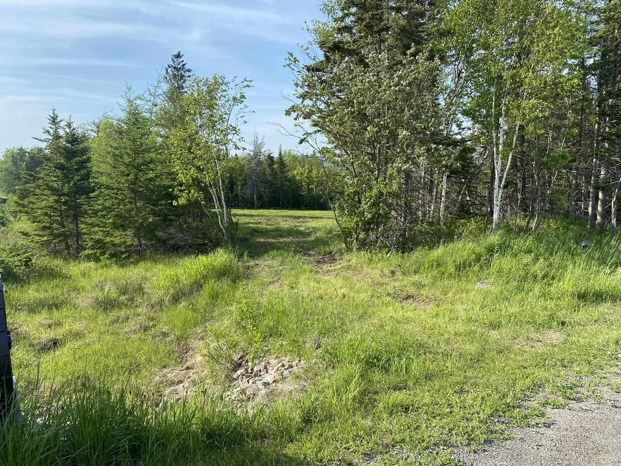 Little Mabou Road, West Mabou, NS B0E 1X0, ,Land,For Sale,Little Mabou,202520684