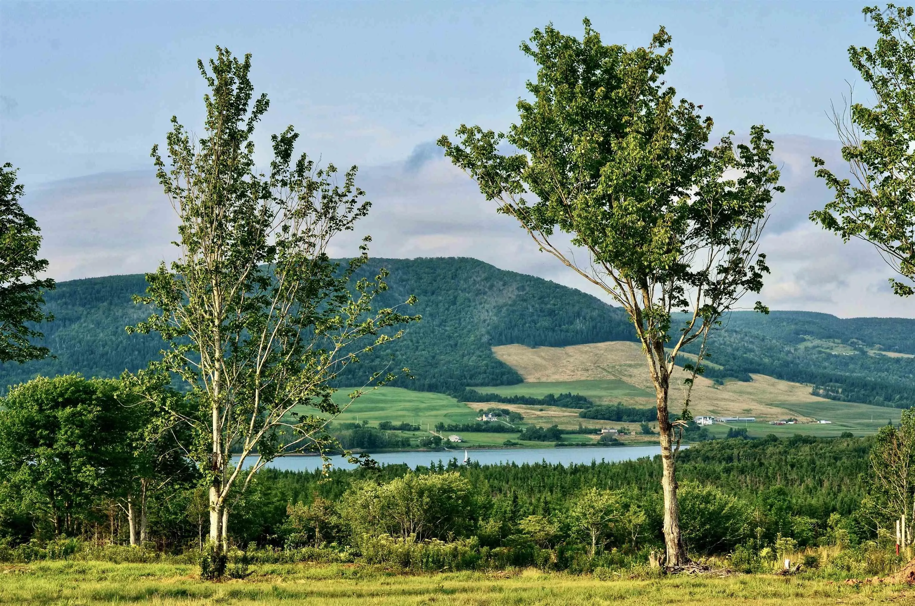 Little Mabou Road, West Mabou, NS B0E 1X0, ,Land,For Sale,Little Mabou,202520684