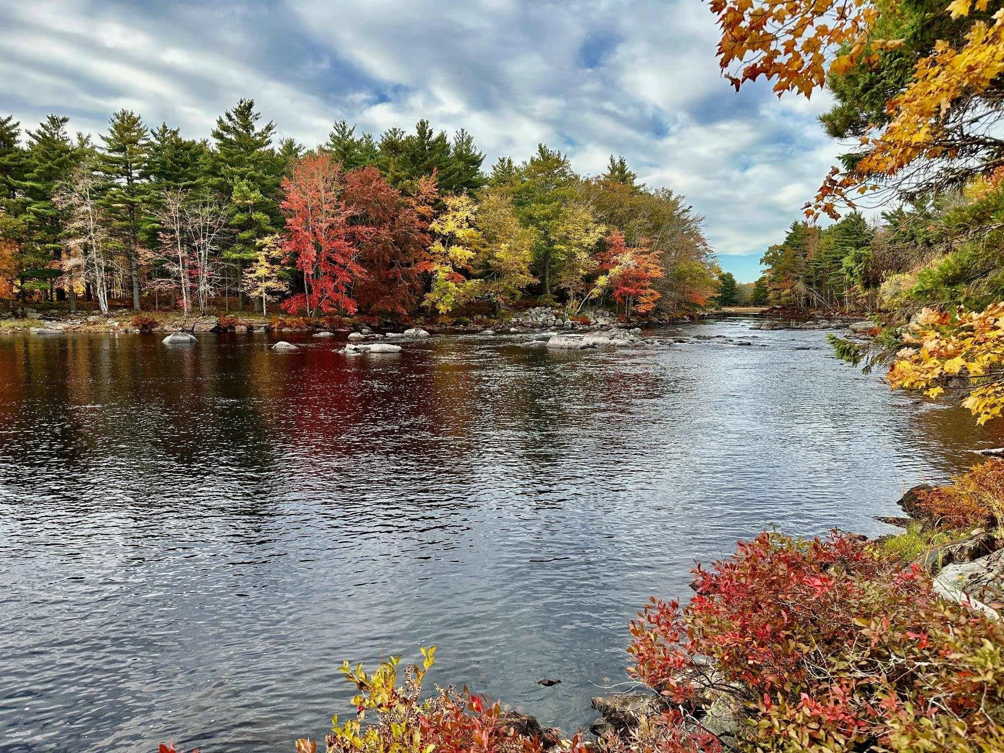 Mill Village East Road, Charleston, NS B0J 2H0, ,Land,For Sale,Mill Village East,202520464