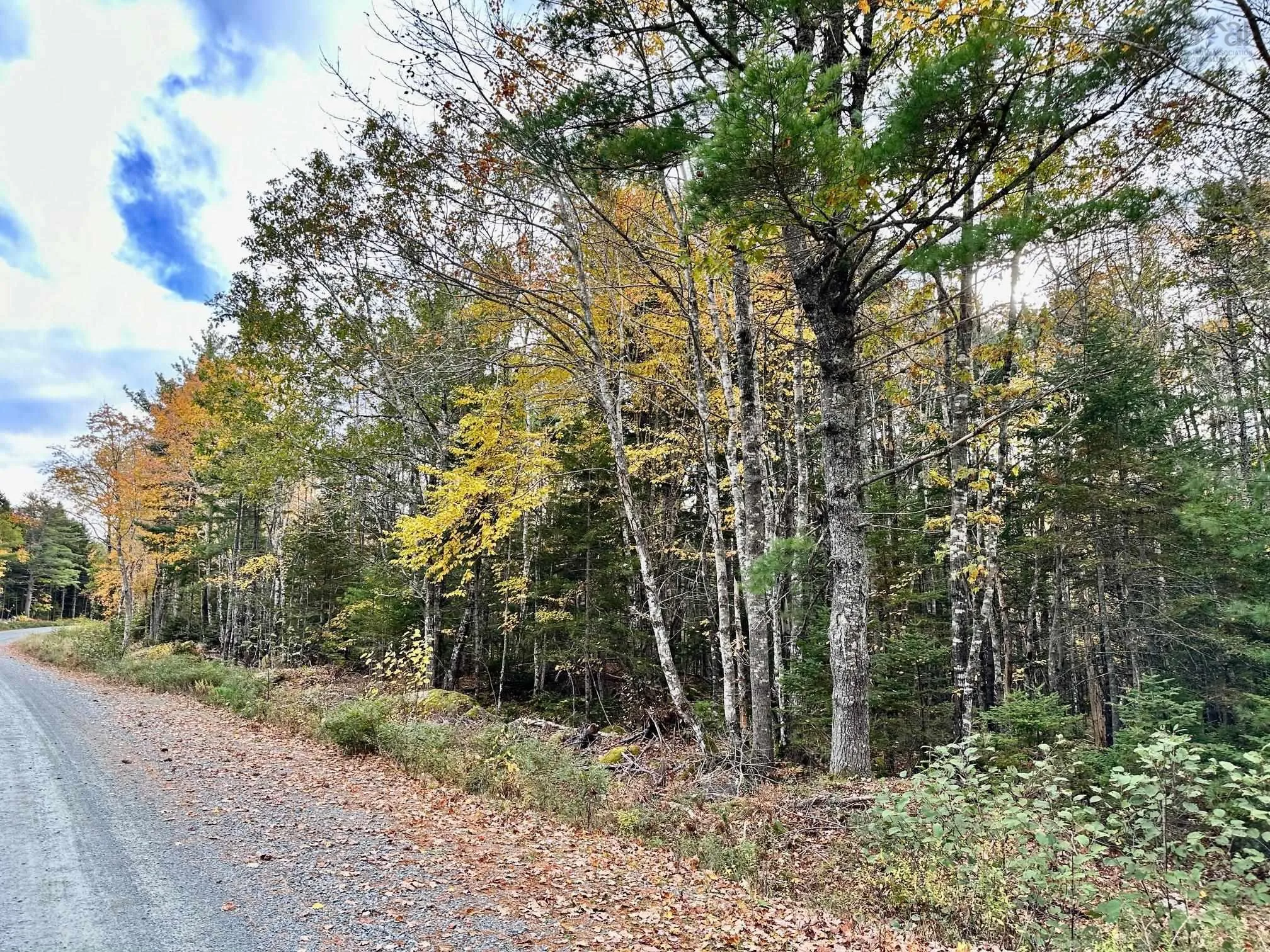 Mill Village East Road, Charleston, NS B0J 2H0, ,Land,For Sale,Mill Village East,202520464