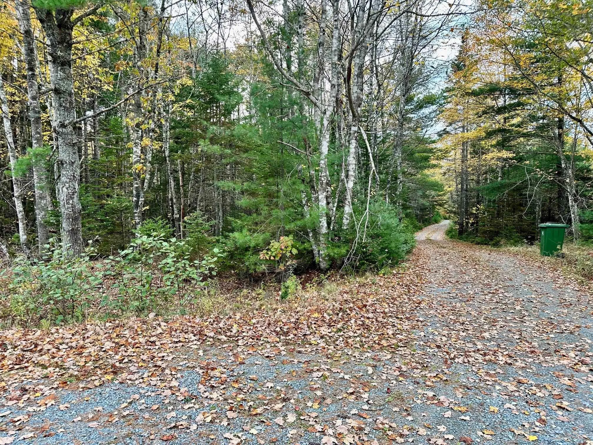Mill Village East Road, Charleston, NS B0J 2H0, ,Land,For Sale,Mill Village East,202520464