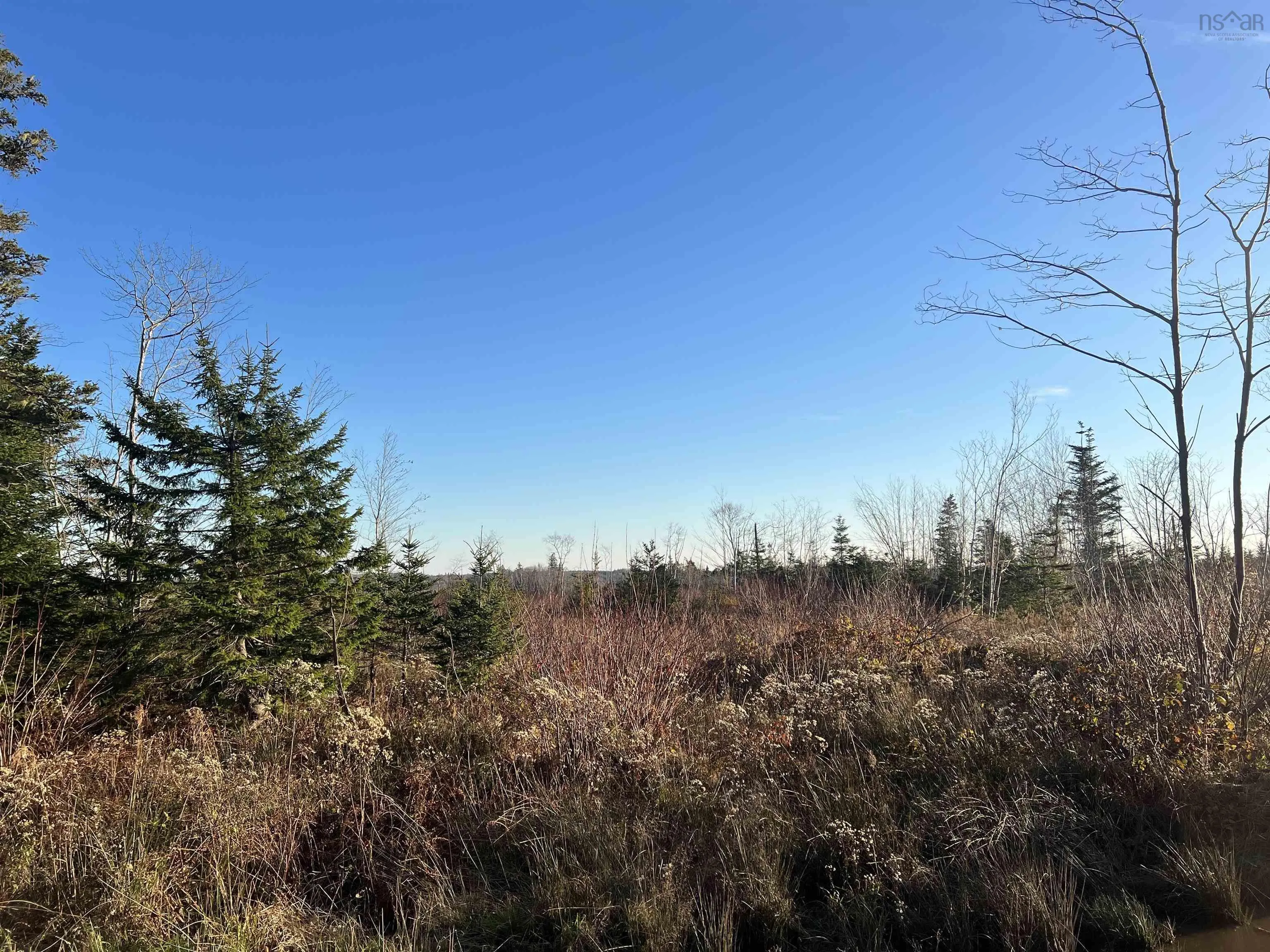 Lot Small Gains Road, Yarmouth, NS B0W 1B0, ,Land,For Sale,Small Gains,202512943