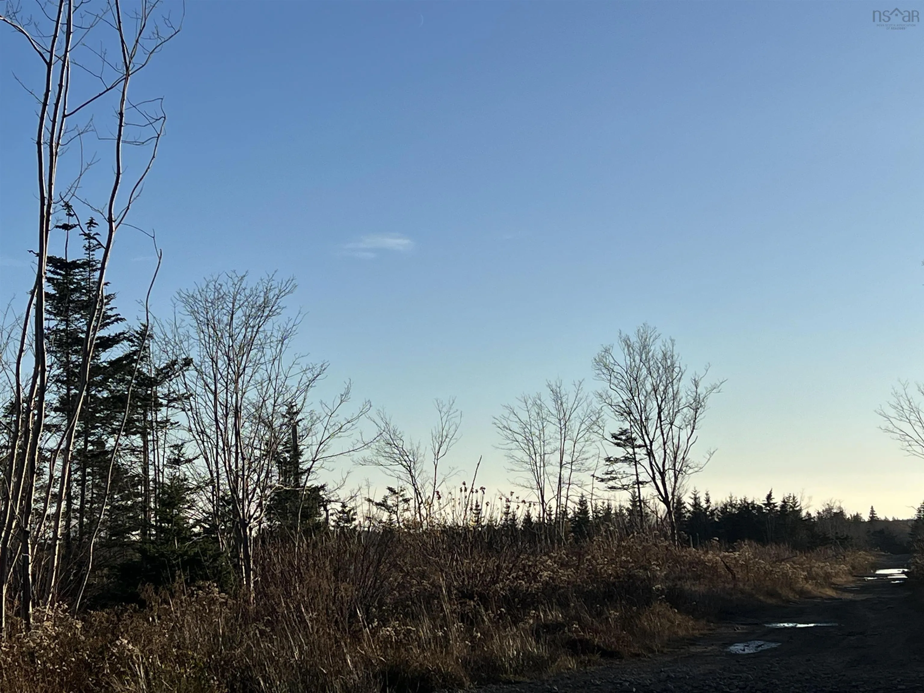 Lot Small Gains Road, Yarmouth, NS B0W 1B0, ,Land,For Sale,Small Gains,202512943