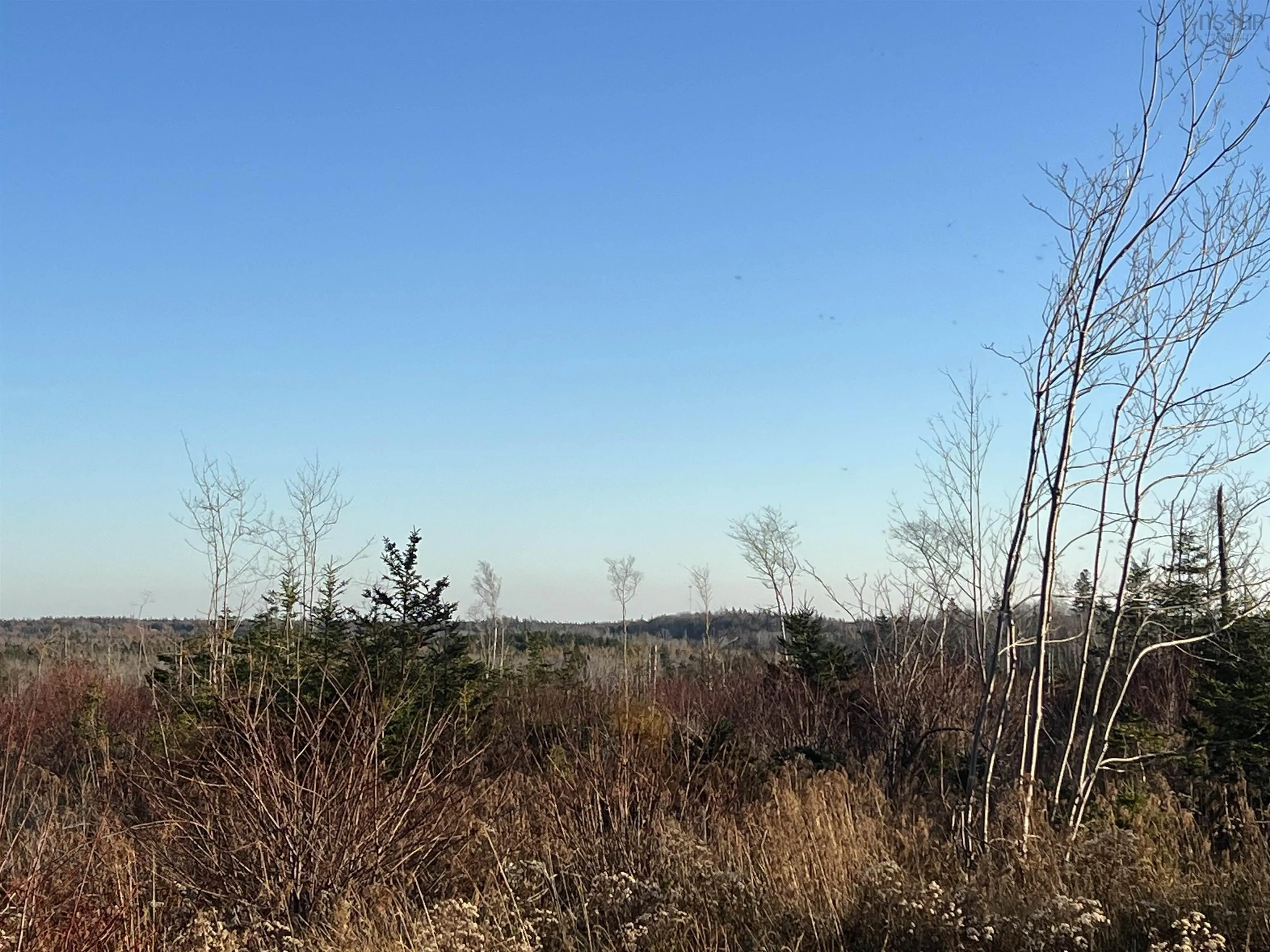 Lot Small Gains Road, Yarmouth, NS B0W 1B0, ,Land,For Sale,Small Gains,202512943