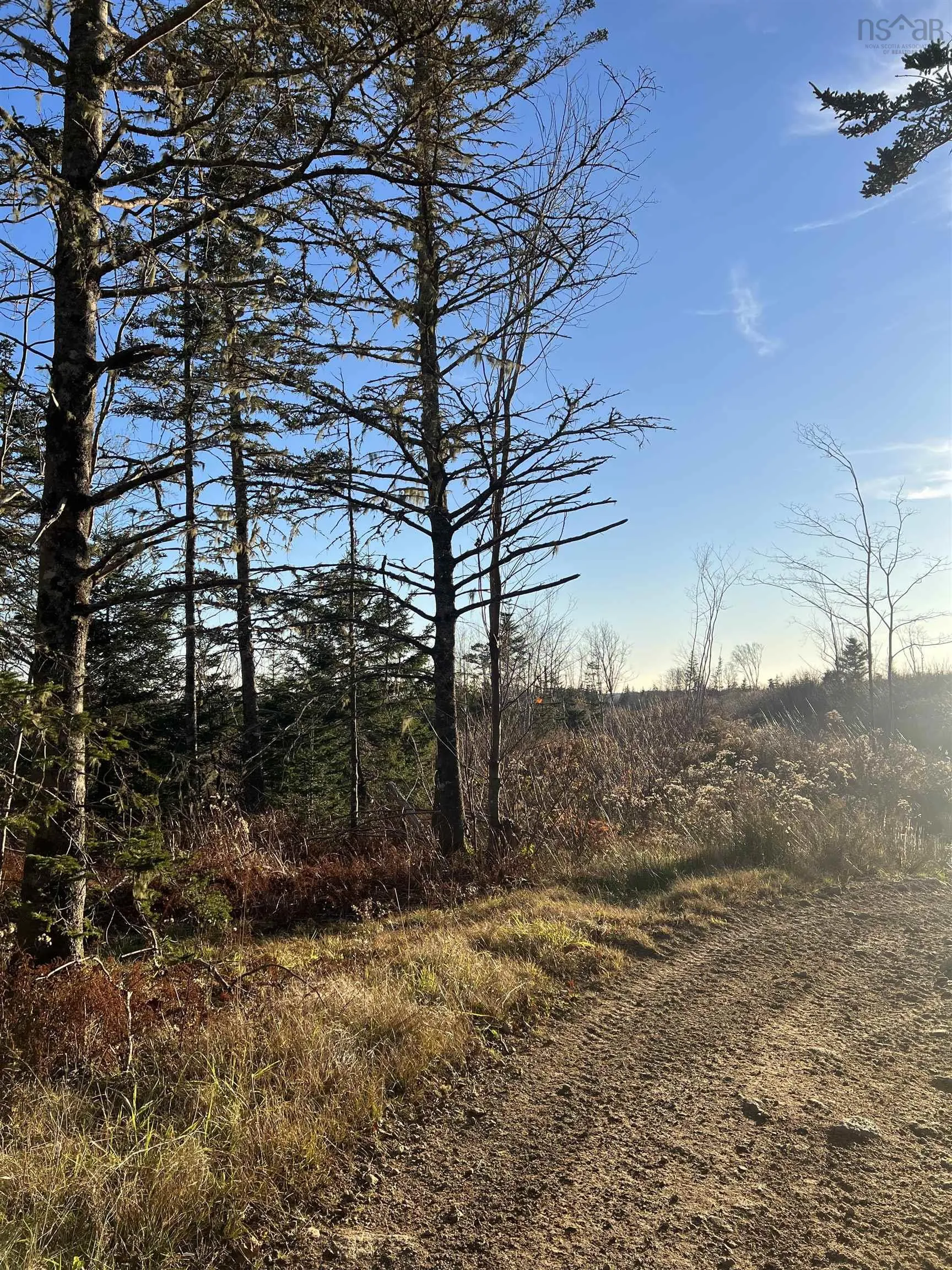 Lot Small Gains Road, Yarmouth, NS B0W 1B0, ,Land,For Sale,Small Gains,202512943