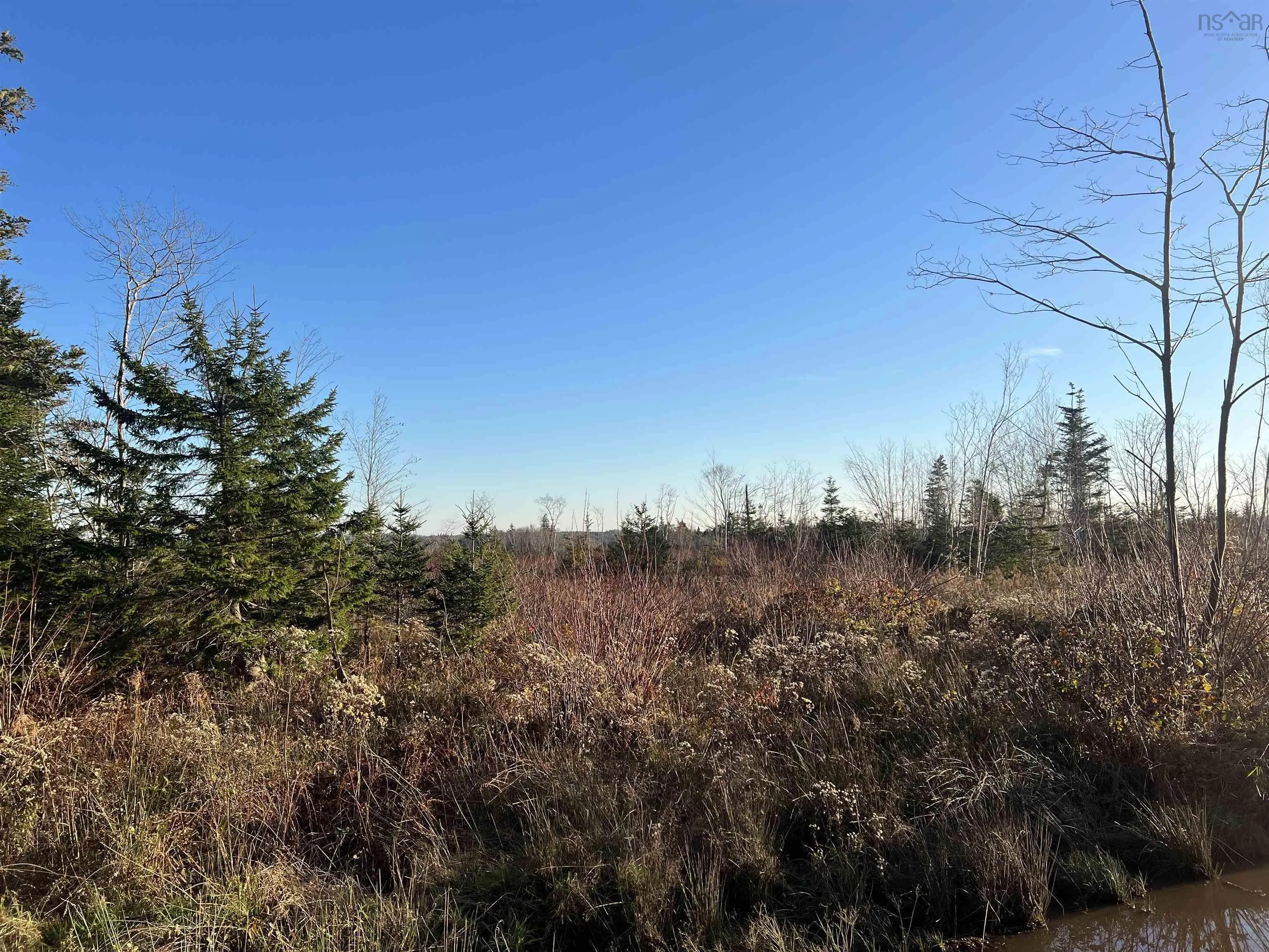 Lot Small Gains Road, Yarmouth, NS B0W 1B0, ,Land,For Sale,Small Gains,202512943