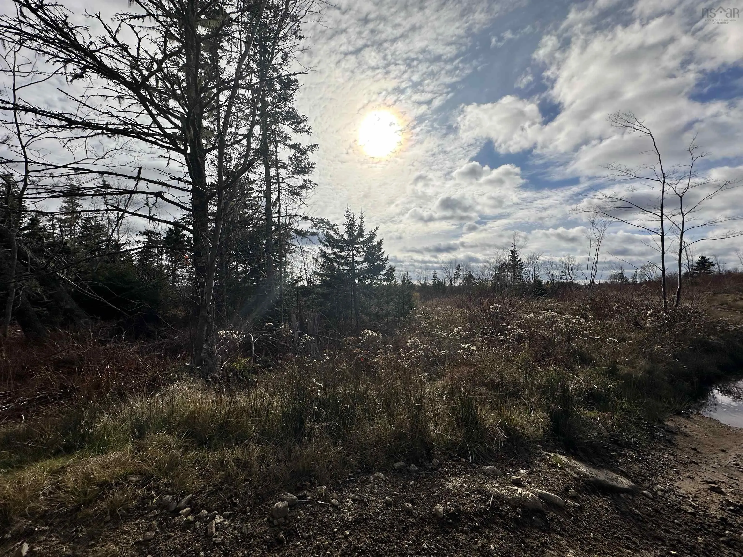 Lot Small Gains Road, Yarmouth, NS B0W 1B0, ,Land,For Sale,Small Gains,202512943