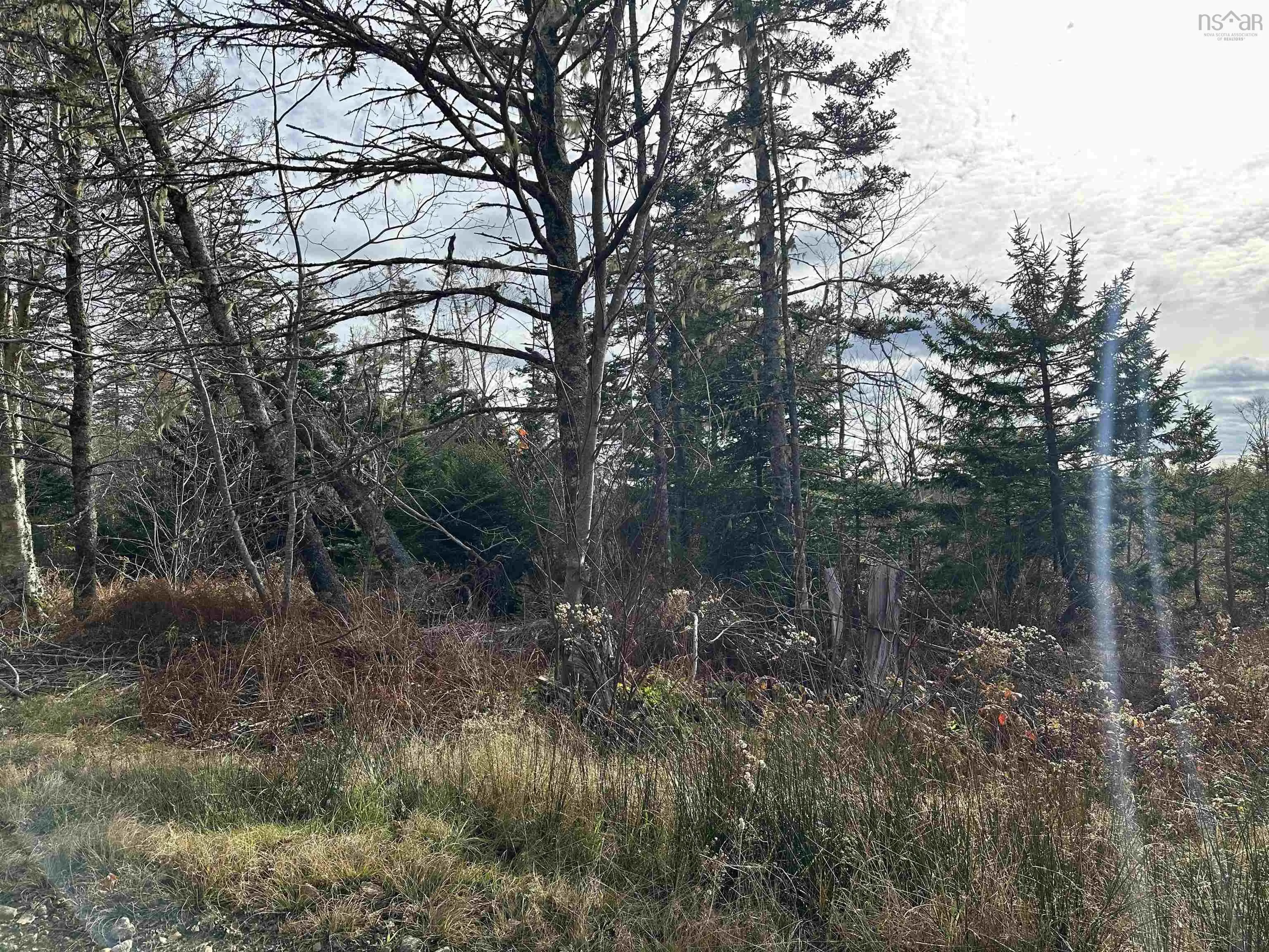 Lot Small Gains Road, Yarmouth, NS B0W 1B0, ,Land,For Sale,Small Gains,202512943