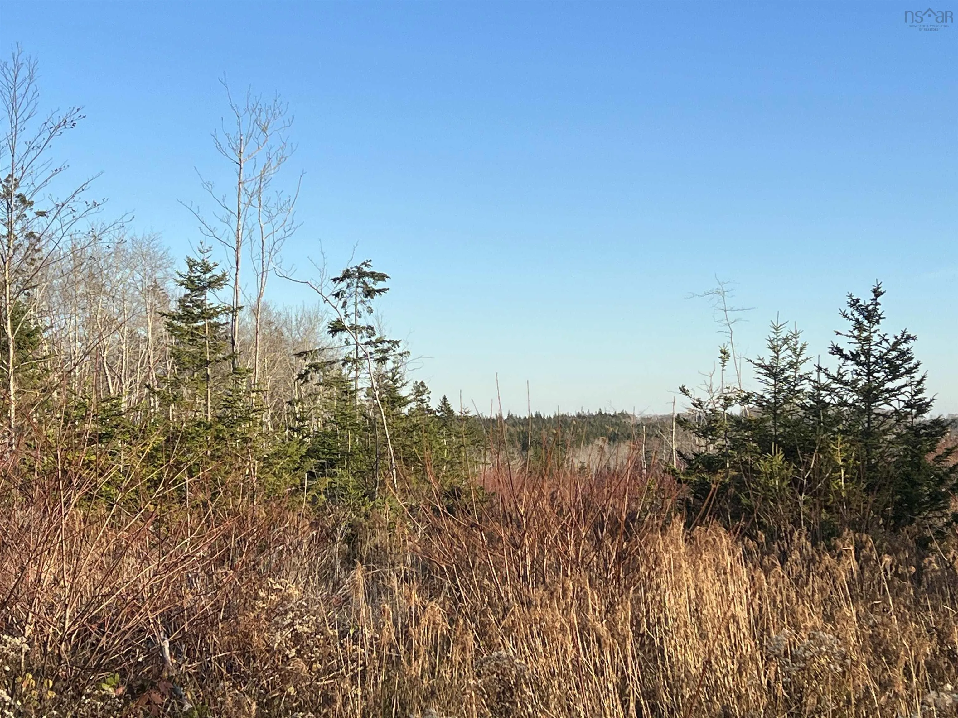 Lot Small Gains Road, Yarmouth, NS B0W 1B0, ,Land,For Sale,Small Gains,202512943