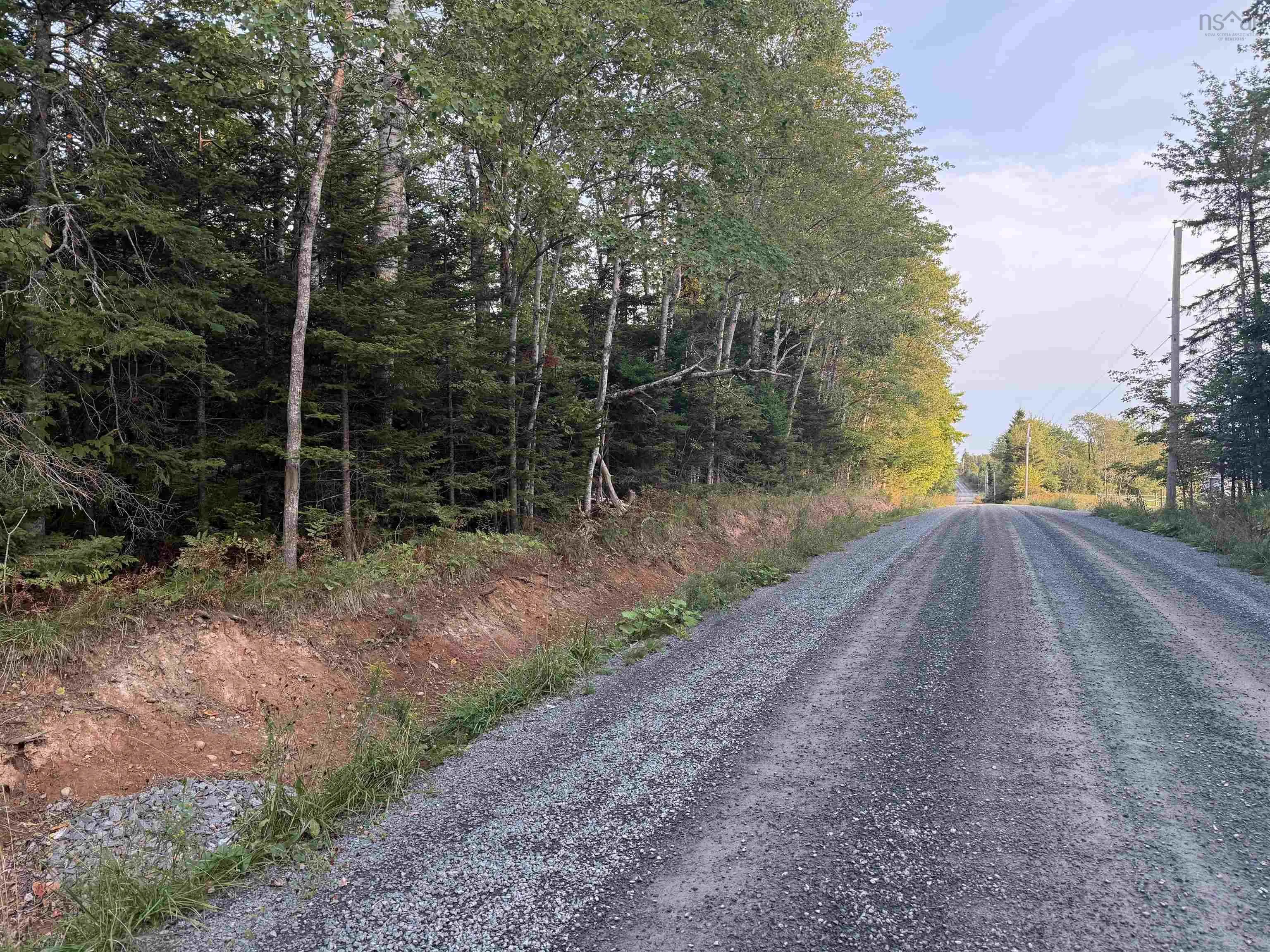 215 Highway, Admiral Rock, NS B0N 2H0, ,Land,For Sale,215,202522889