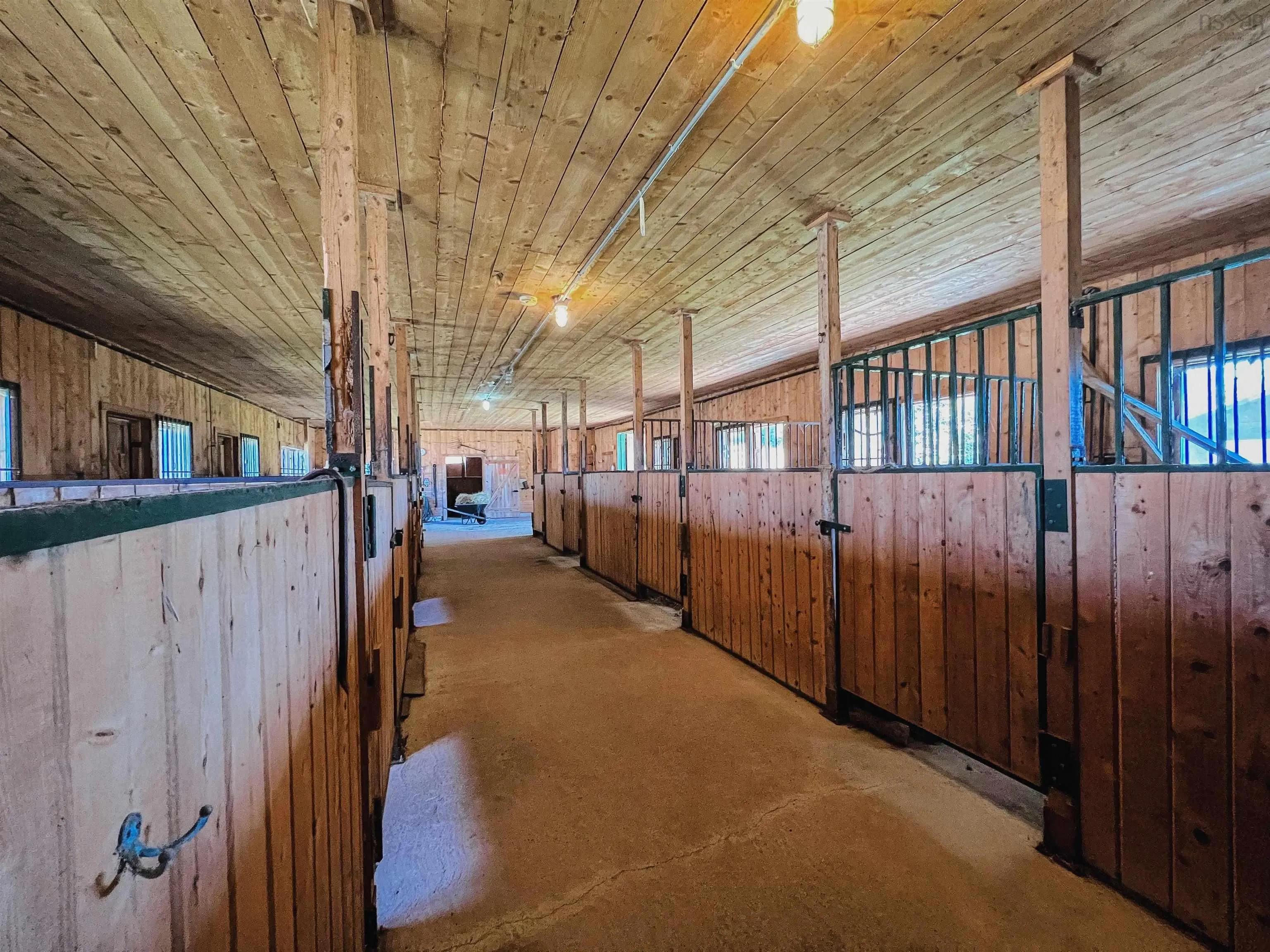 165 Diana Mountain Rd., The Points West Bay, NS B0E 3K0, 4 Bedrooms Bedrooms, ,3 BathroomsBathrooms,Residential,For Sale,Diana Mountain Rd.,202522530