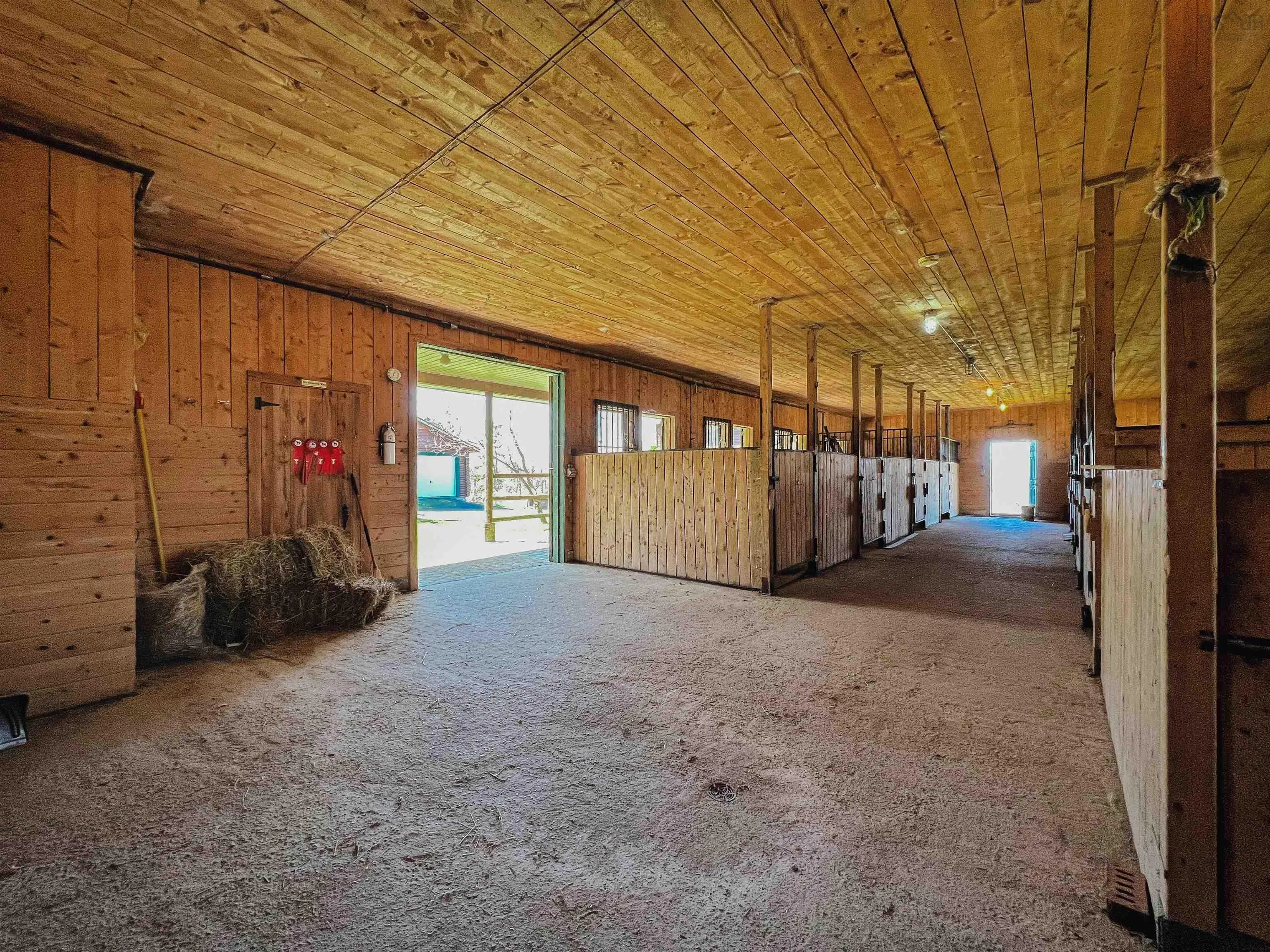 165 Diana Mountain Rd., The Points West Bay, NS B0E 3K0, 4 Bedrooms Bedrooms, ,3 BathroomsBathrooms,Residential,For Sale,Diana Mountain Rd.,202522530