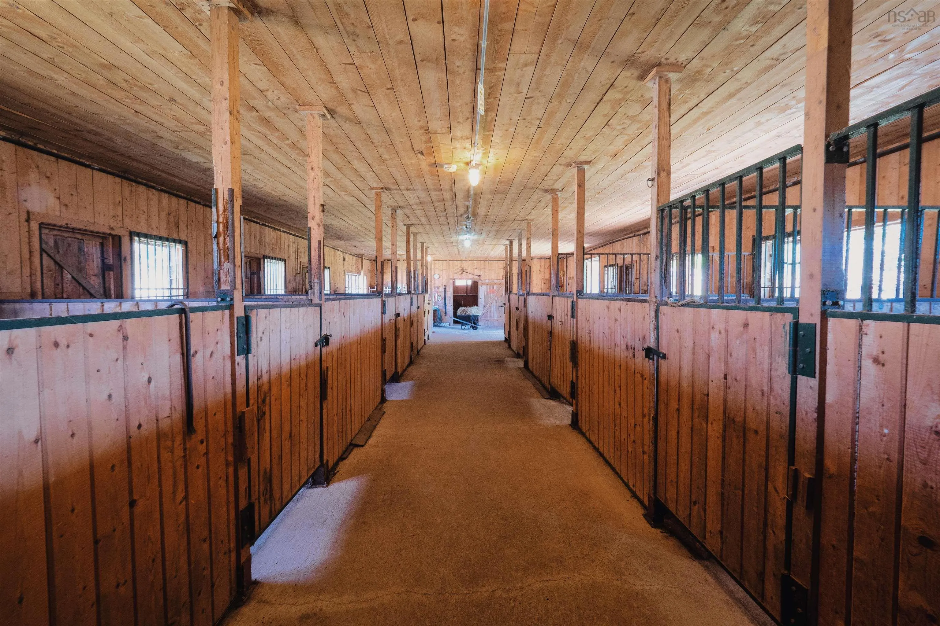 165 Diana Mountain Rd., The Points West Bay, NS B0E 3K0, 4 Bedrooms Bedrooms, ,3 BathroomsBathrooms,Residential,For Sale,Diana Mountain Rd.,202522530