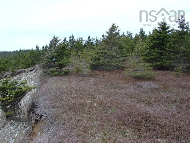 Lot 8 Holland Harbour, Guysborough Ns B0j 3c0, ,Land,For Sale,Holland Harbour,202418983