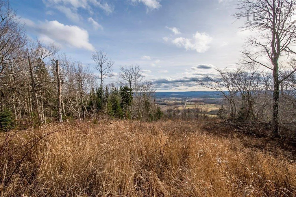 894 Morden Road, Weltons Corner, NS B0P 1C0, 5 Bedrooms Bedrooms, ,3 BathroomsBathrooms,Farm,For Sale,Morden,202524922