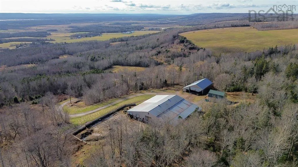 894 Morden Road, Weltons Corner, NS B0P 1C0, 5 Bedrooms Bedrooms, ,3 BathroomsBathrooms,Farm,For Sale,Morden,202524922