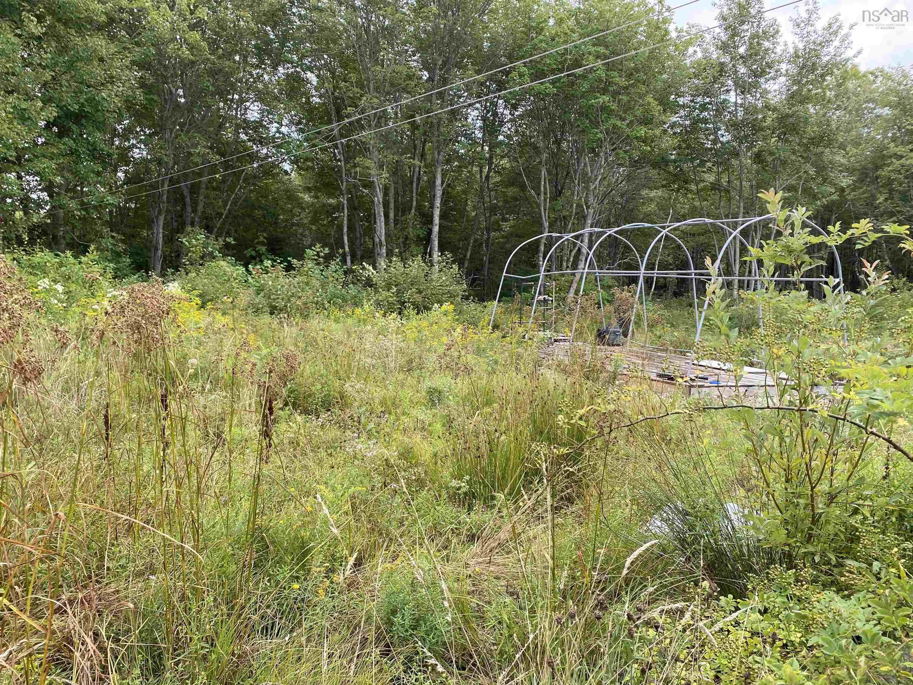 2231 Shore Road, Western Head, NS B0T 1K0, ,Land,For Sale,Shore,202523223
