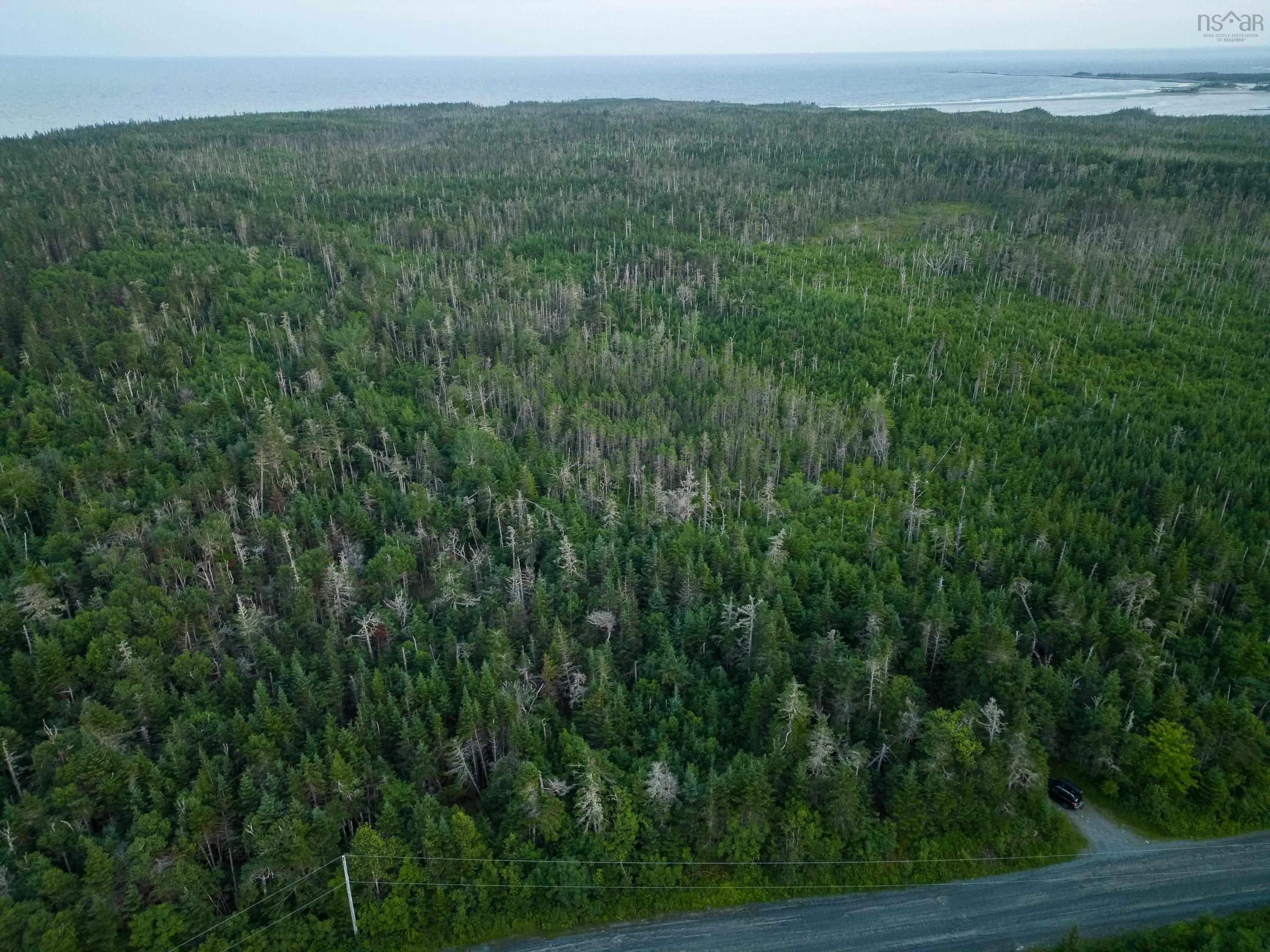 Lot 4 Conrod Beach Road, Lower East Chezzetcook, NS B0J 2L0, ,Land,For Sale,Conrod Beach,202511616