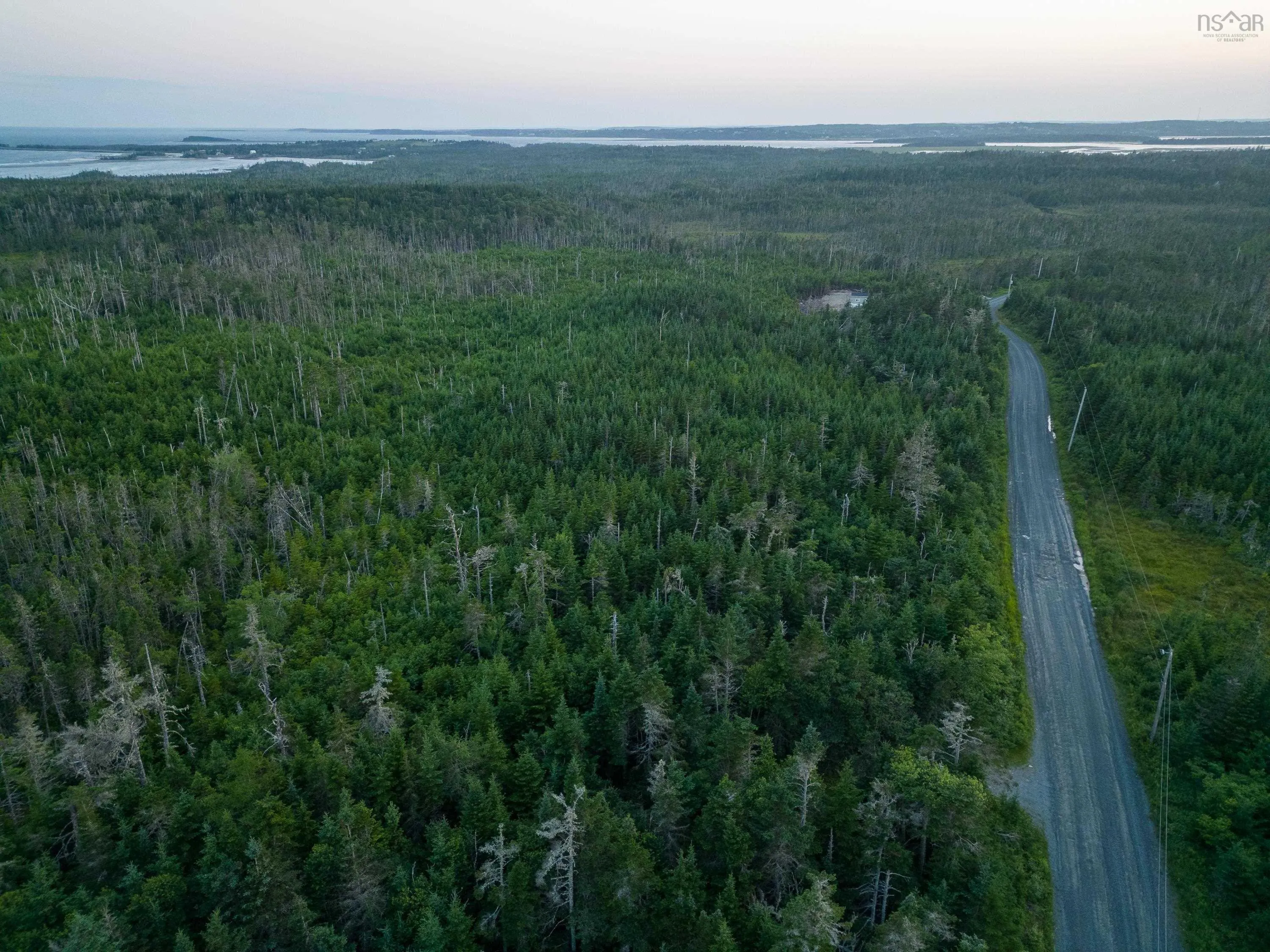 Lot 4 Conrod Beach Road, Lower East Chezzetcook, NS B0J 2L0, ,Land,For Sale,Conrod Beach,202511616